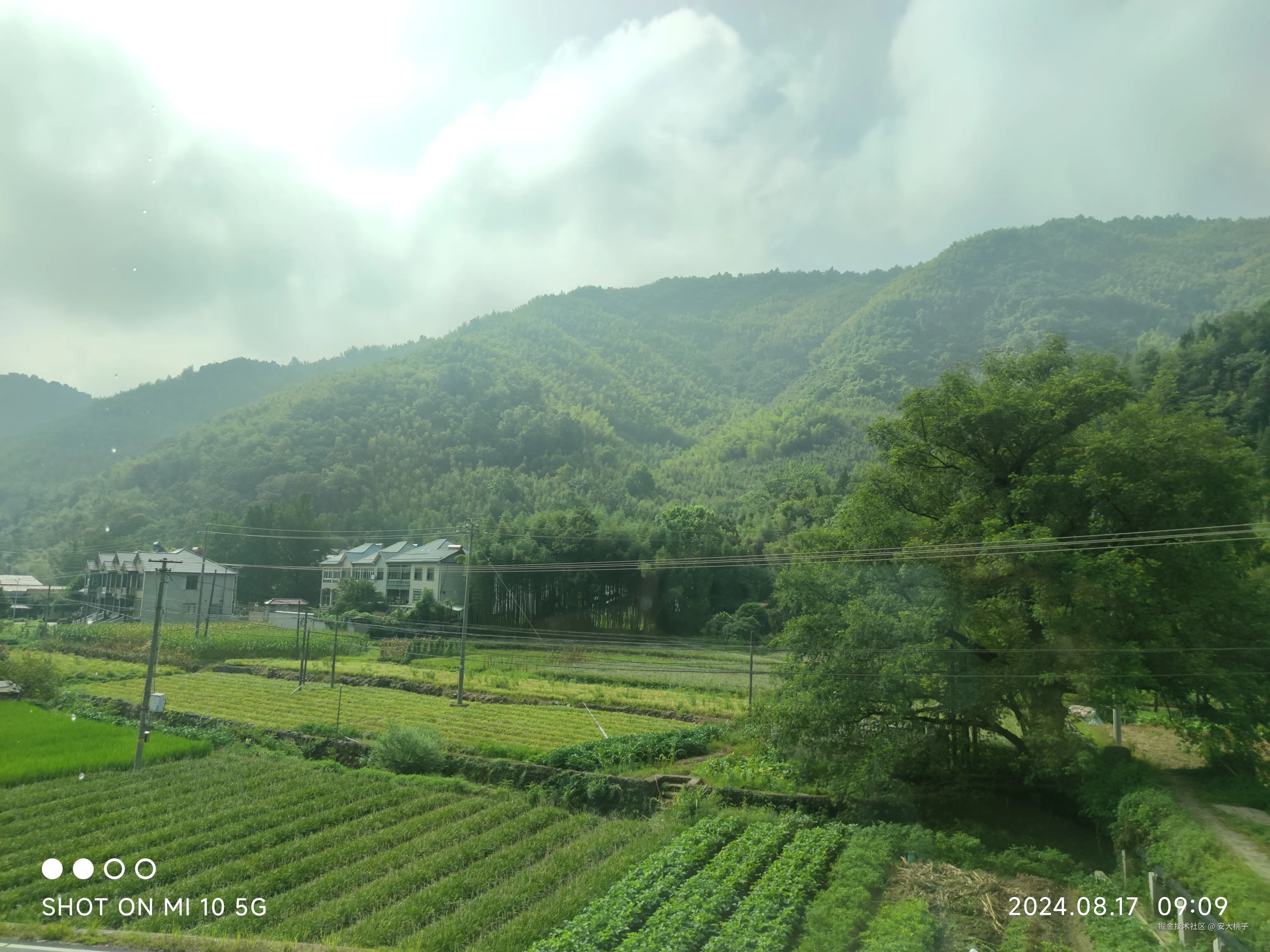 安大桃子于2024-08-17 09:09发布的图片