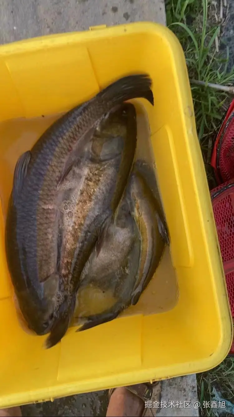 张鑫旭于2024-07-22 11:25发布的图片