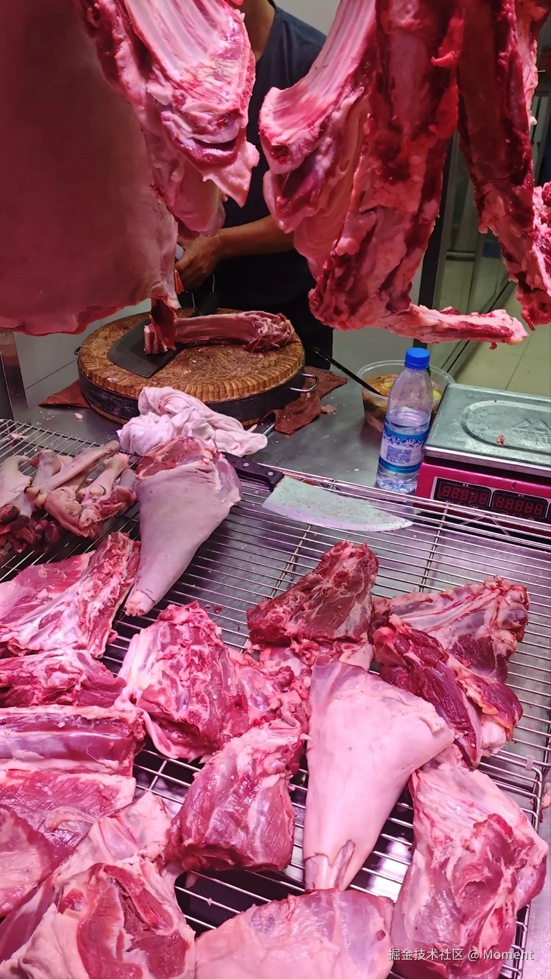 Moment于2025-11-04 10:43发布的图片