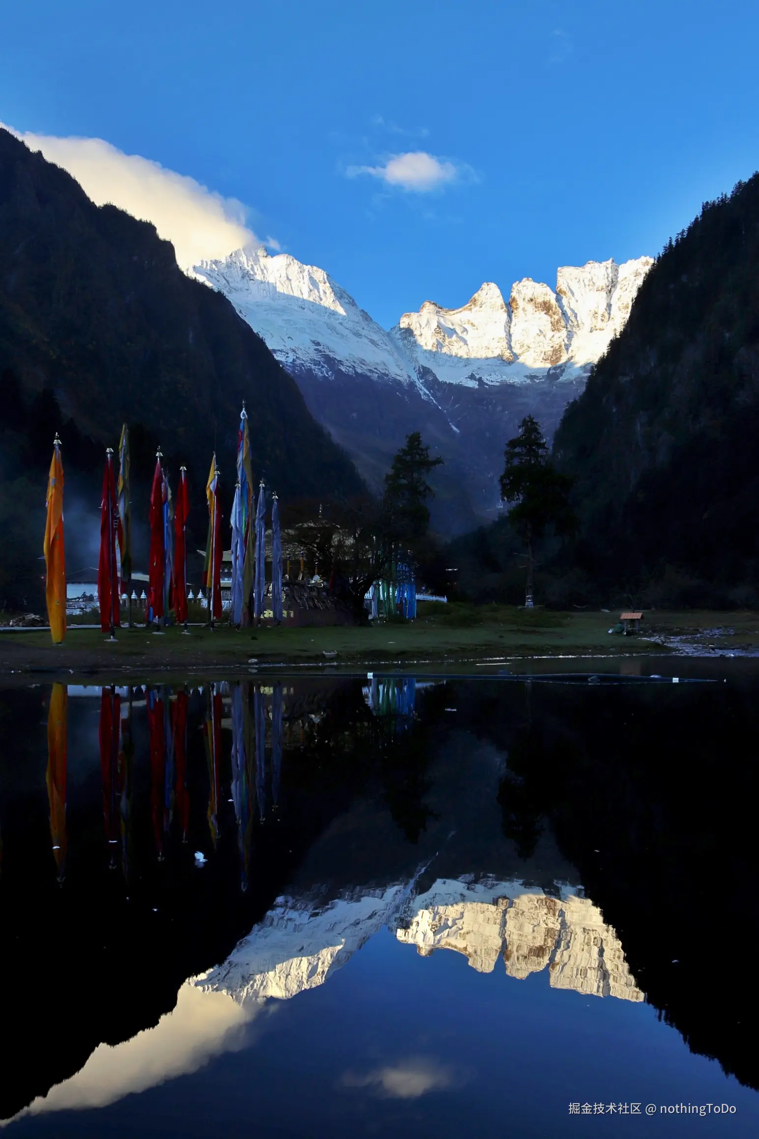 nothingToDo于2025-04-10 15:10发布的图片