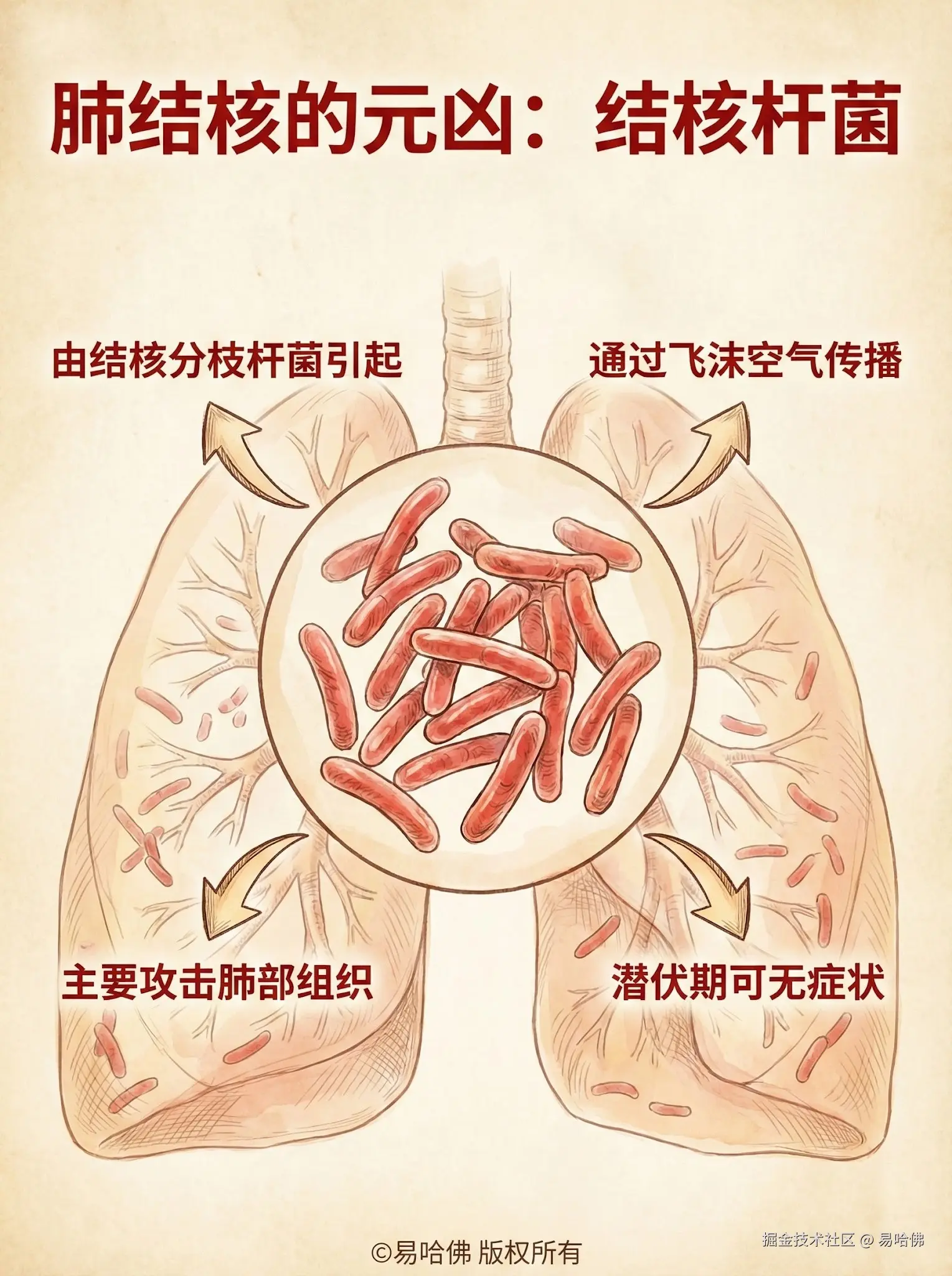 易哈佛于2026-01-04 16:22发布的图片