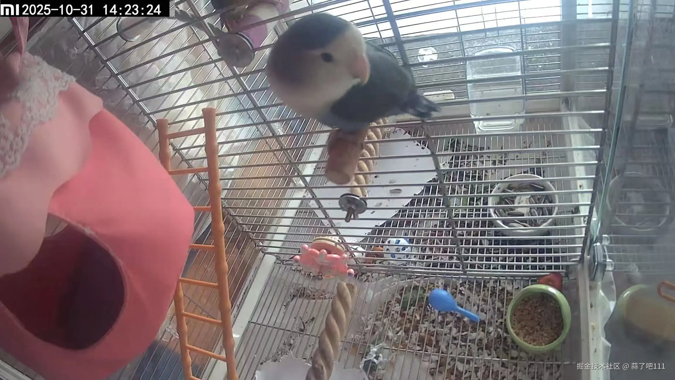 蒜了吧111于2025-10-31 16:28发布的图片