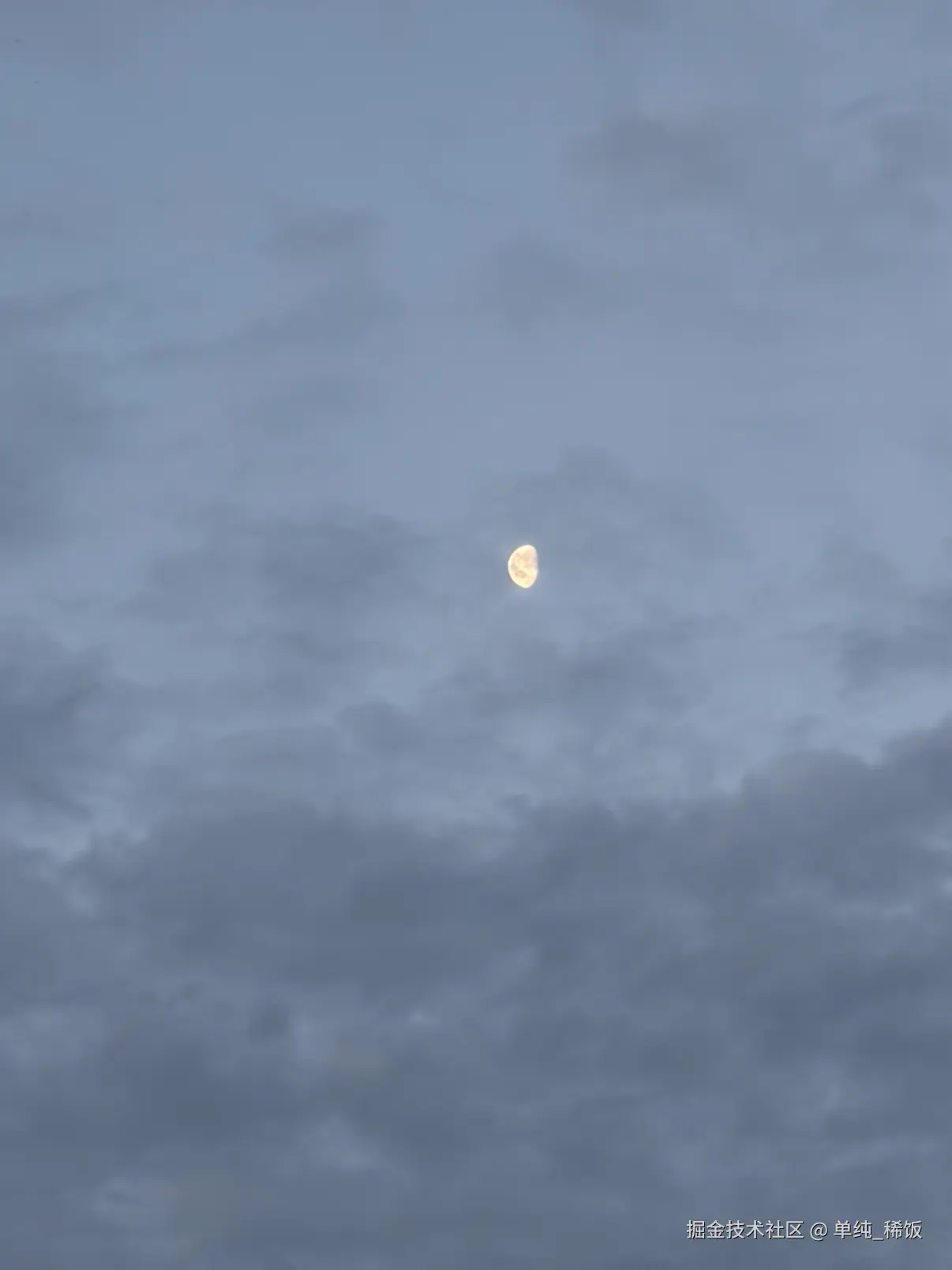 单纯_稀饭于2026-03-09 07:51发布的图片