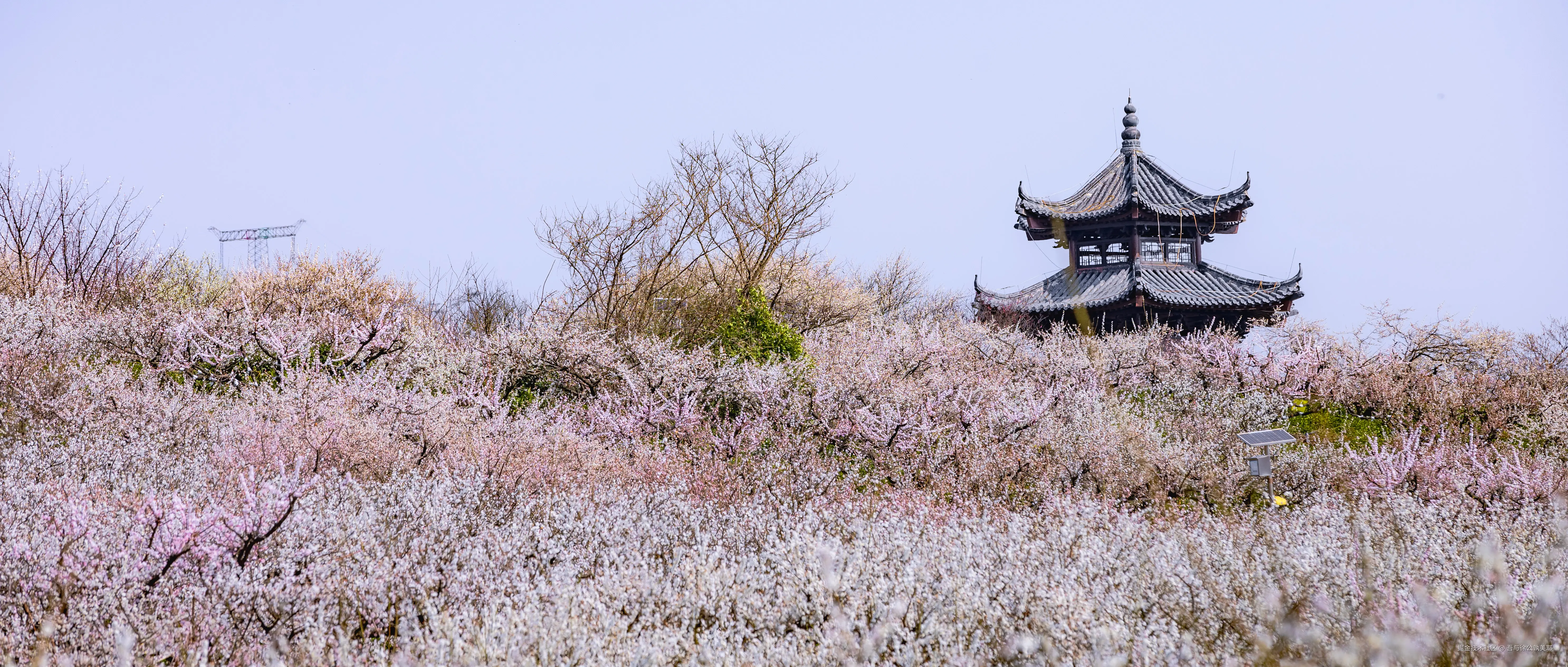 吾与徐公孰美耶于2025-03-03 10:14发布的图片
