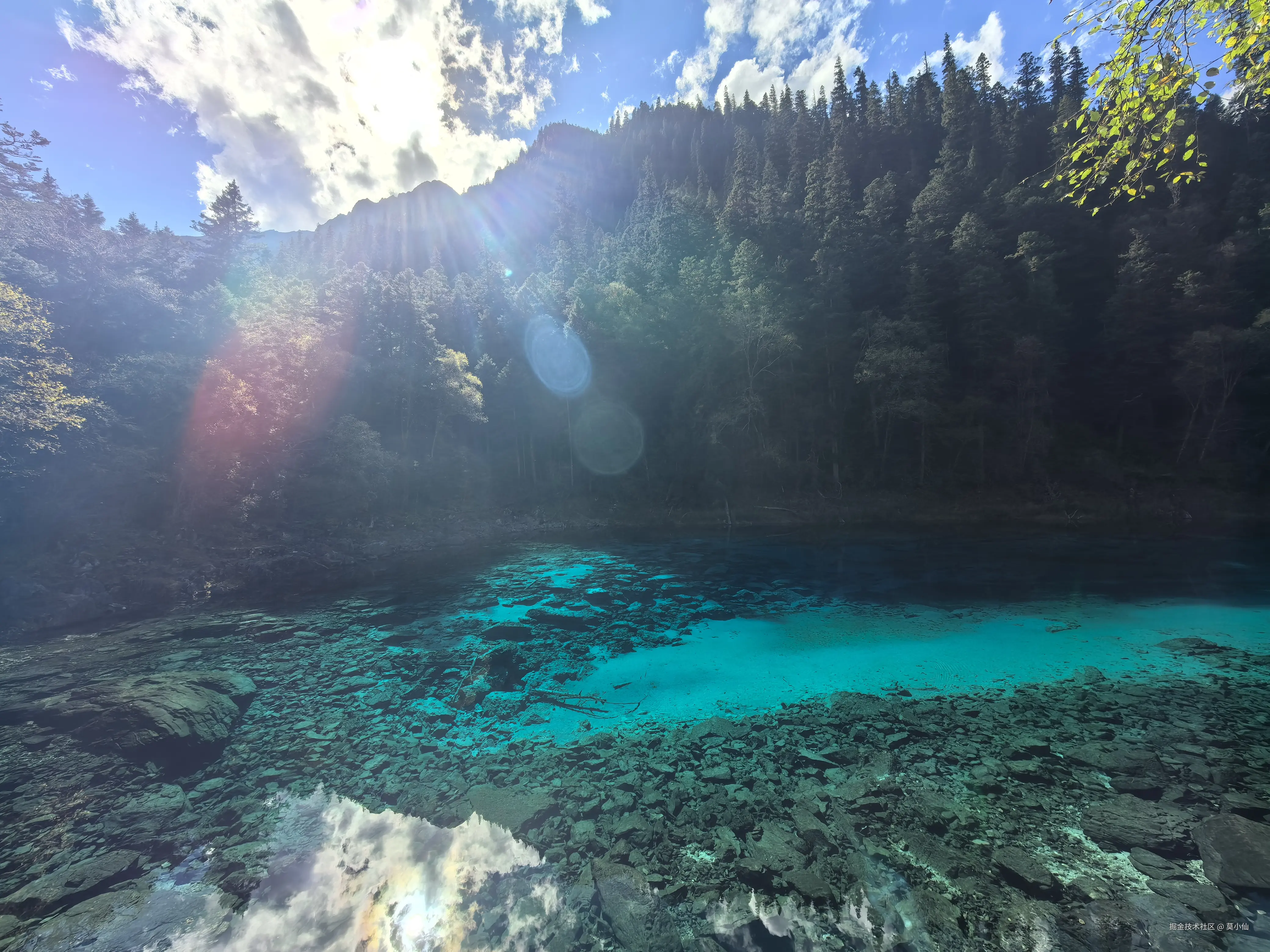 莫小仙于2025-10-09 10:54发布的图片