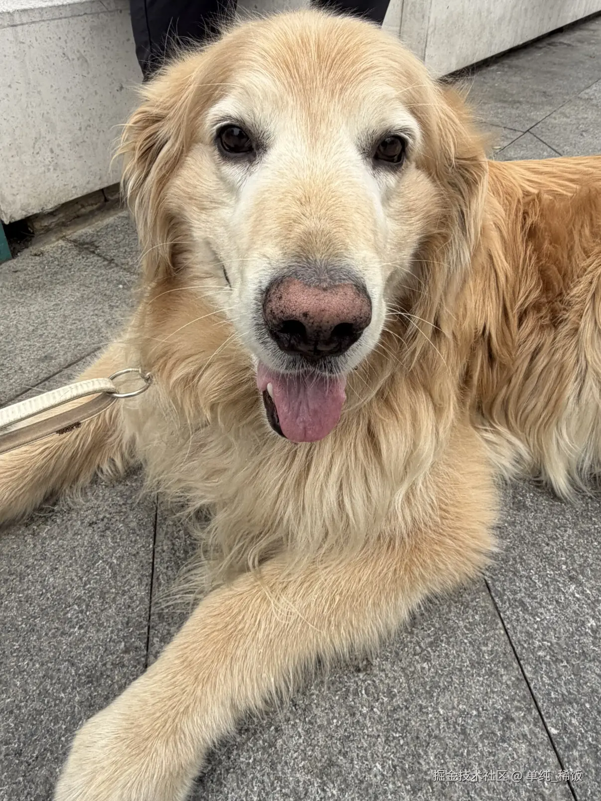 单纯_稀饭于2026-03-27 10:35发布的图片