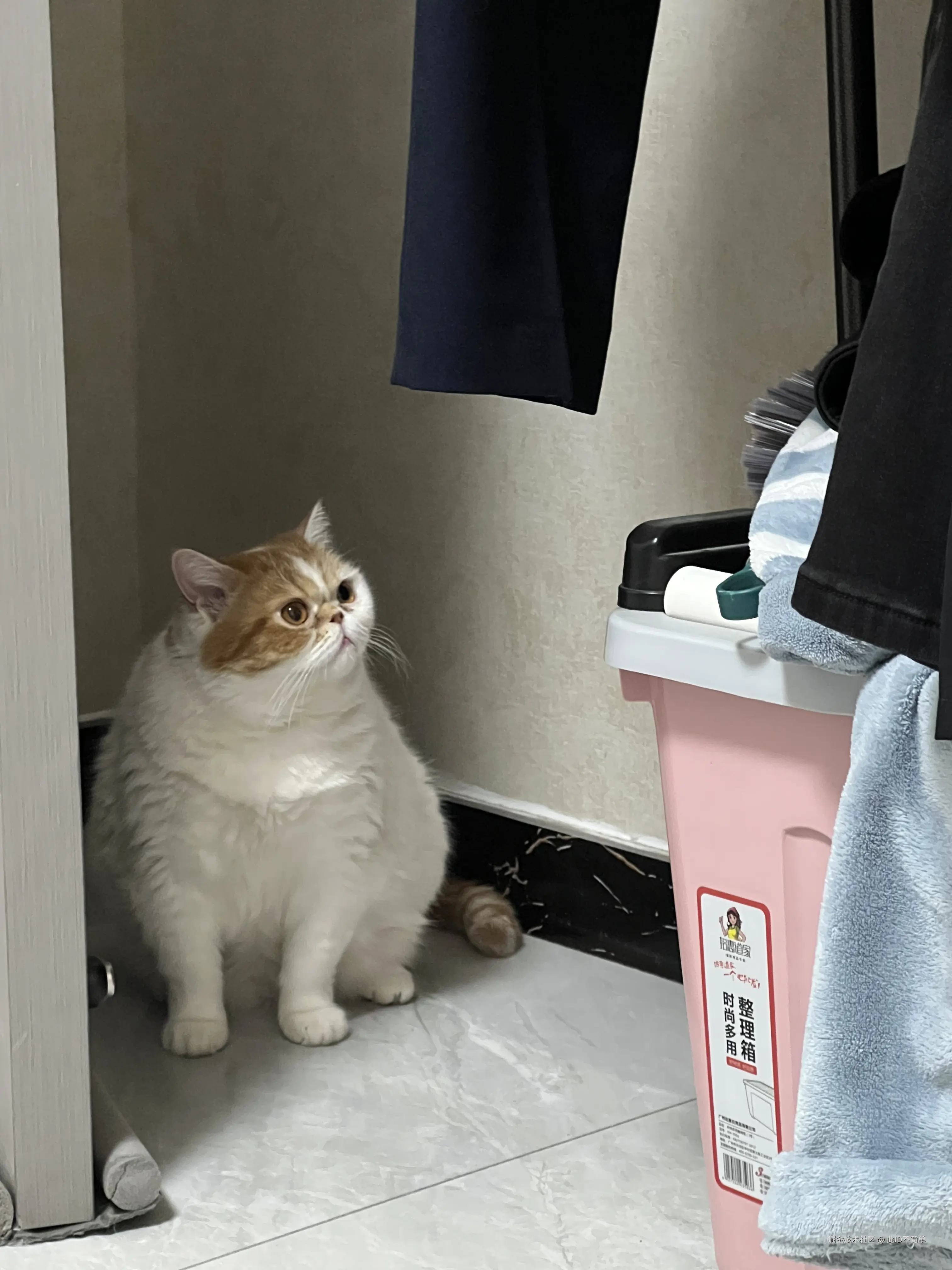 此ID不简单于2024-12-11 00:58发布的图片