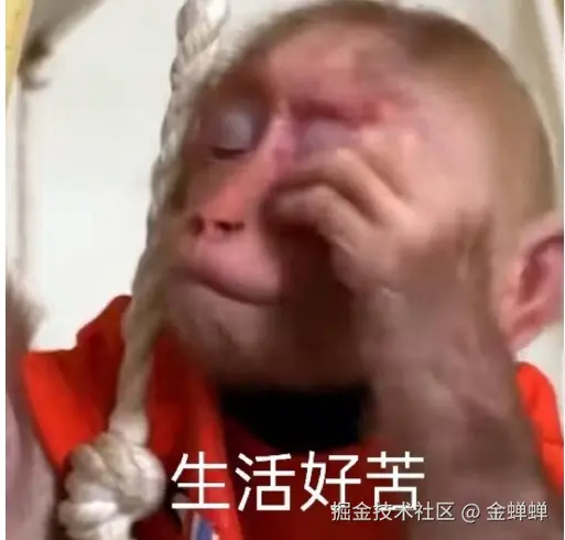 金蝉蝉于2025-01-14 14:02发布的图片