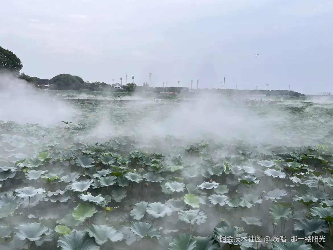 浅唱_那一缕阳光于2025-08-12 09:37发布的图片