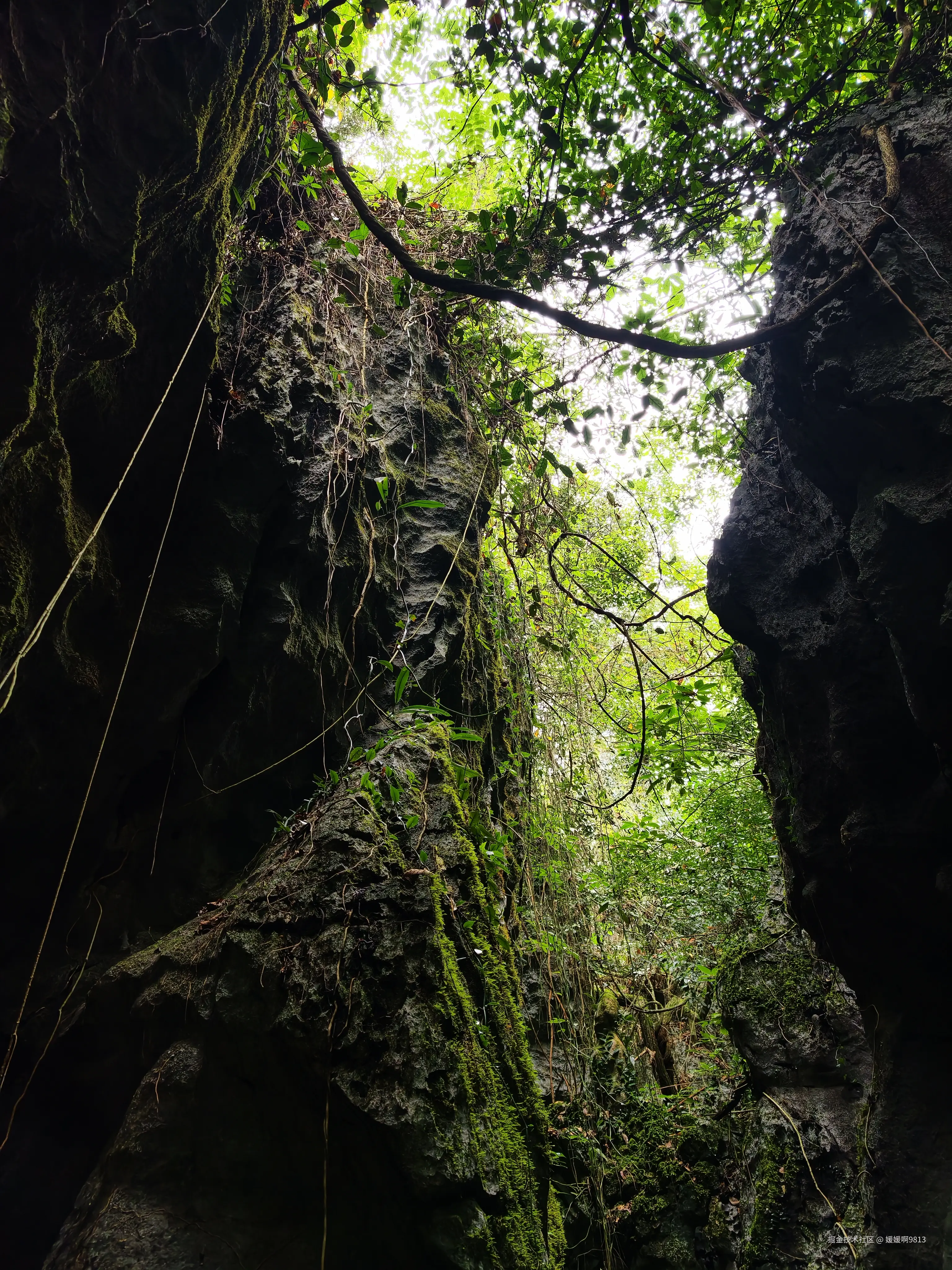 媛媛啊9813于2026-03-22 21:52发布的图片