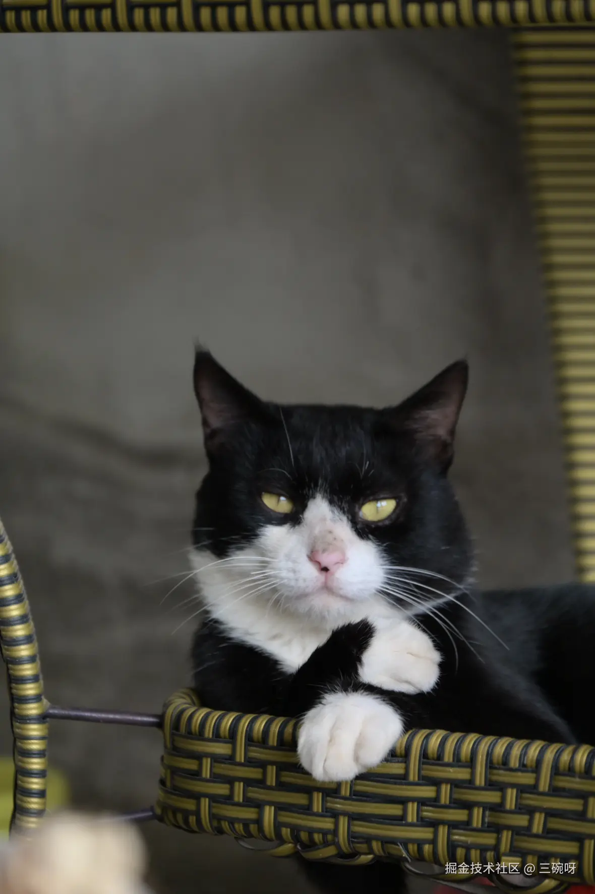 三碗呀于2025-09-10 01:34发布的图片