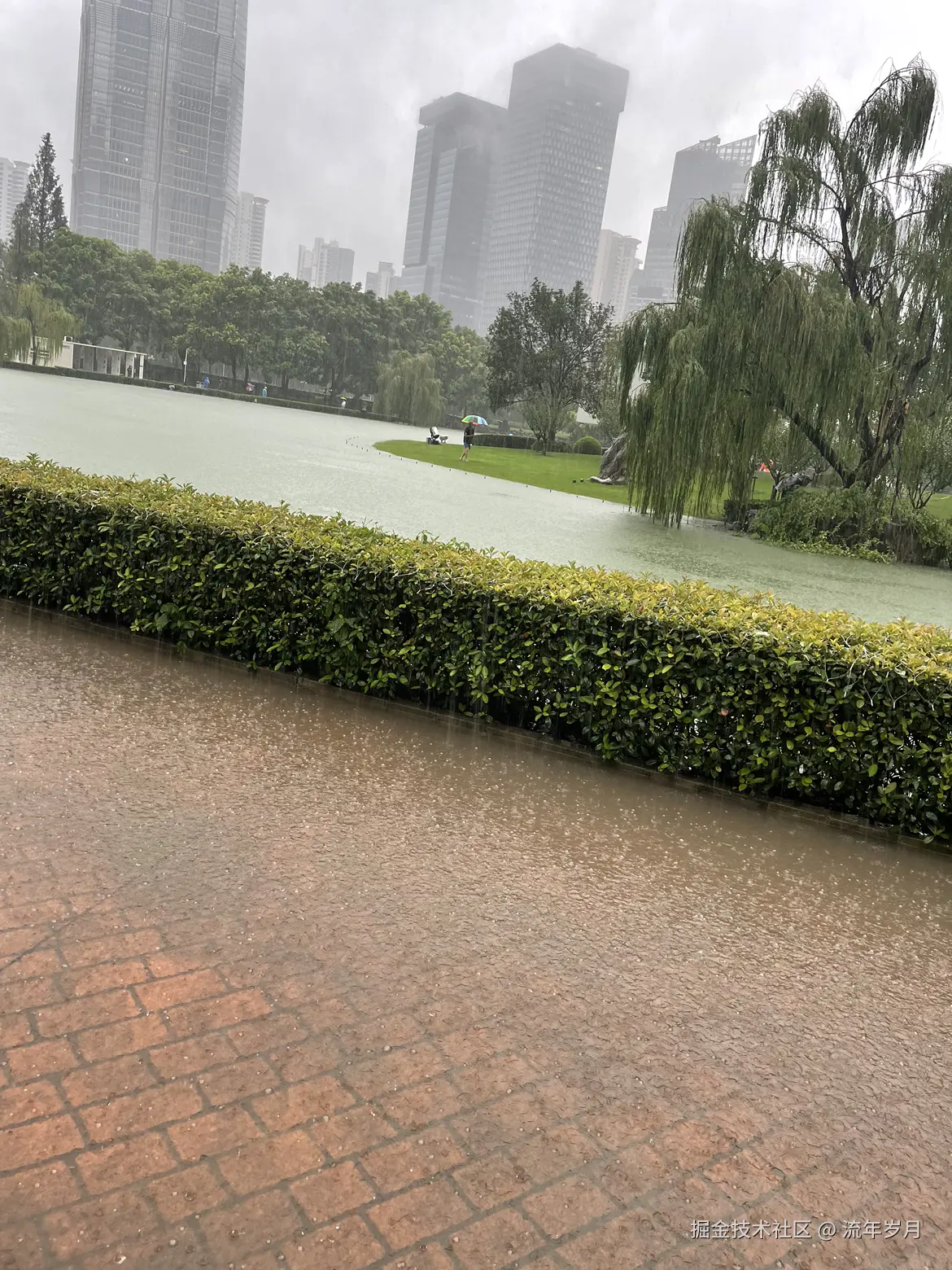 流年岁月于2024-09-20 19:52发布的图片