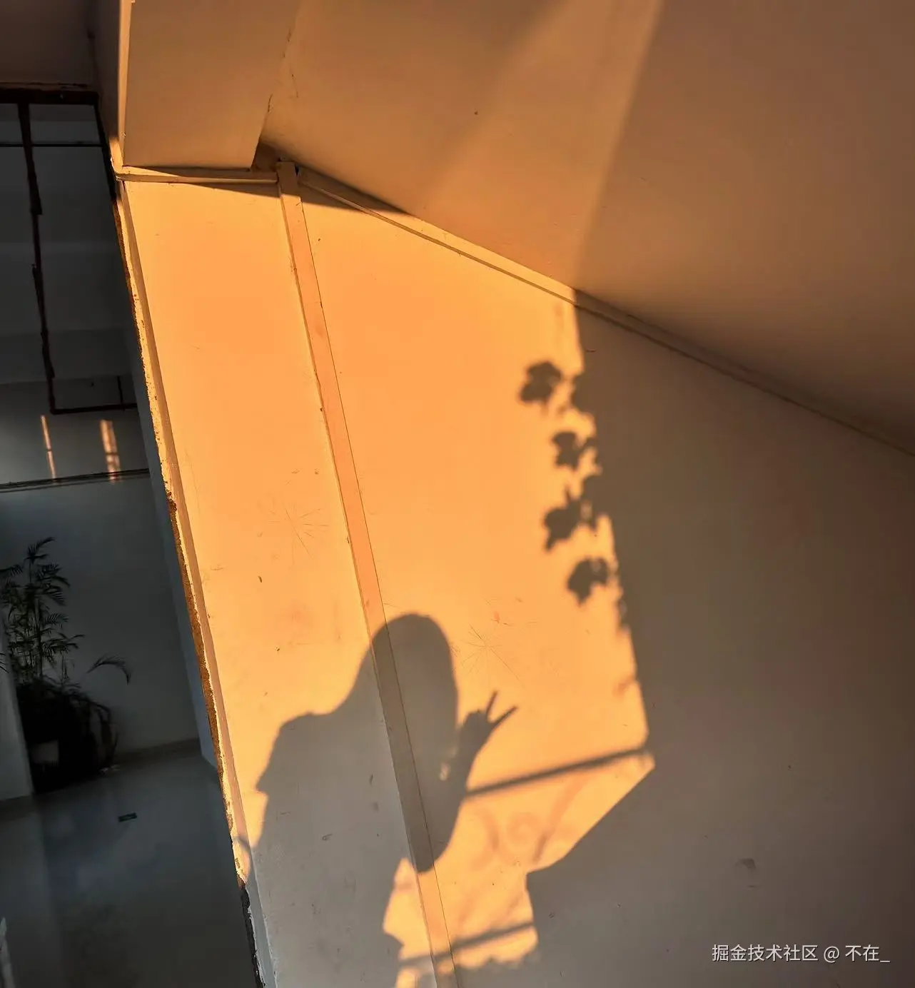 不在_于2024-10-30 18:11发布的图片