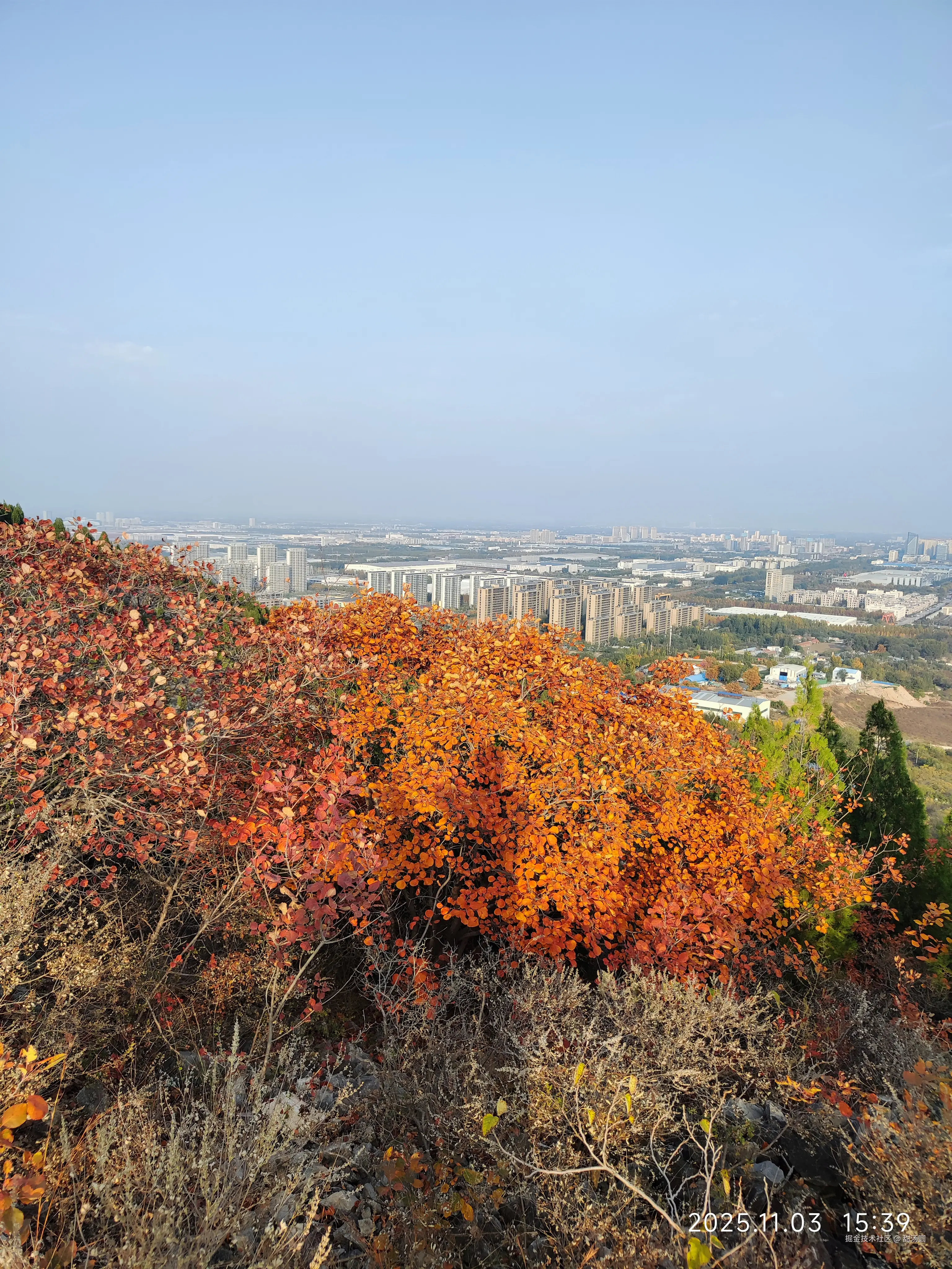 甜汤圆于2025-11-03 15:39发布的图片