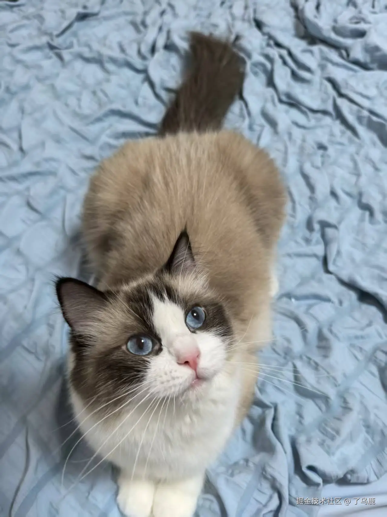 了乌鹿于2025-07-16 15:11发布的图片