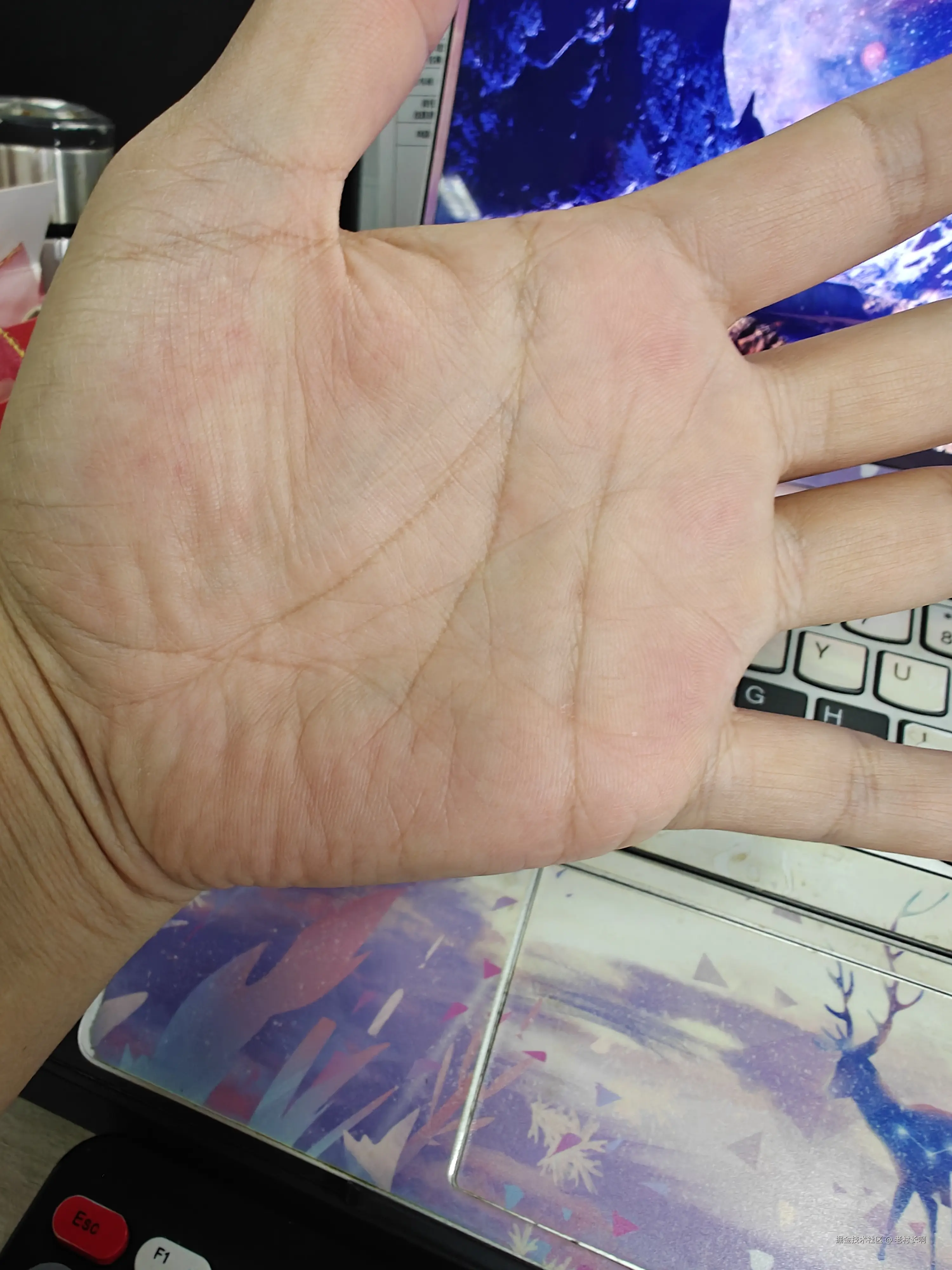 老村长啊于2025-10-15 14:14发布的图片