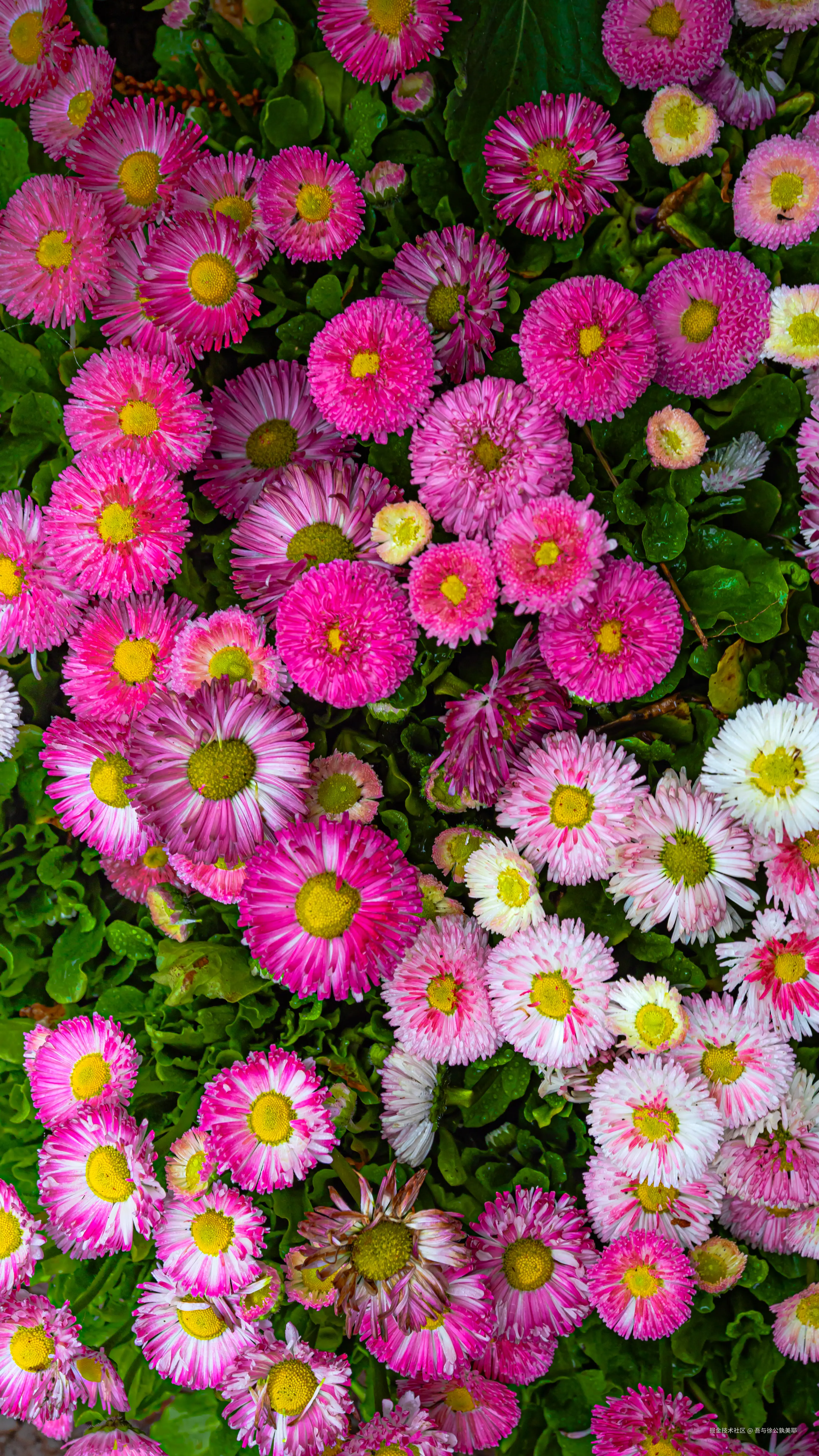 吾与徐公孰美耶于2026-03-25 15:48发布的图片