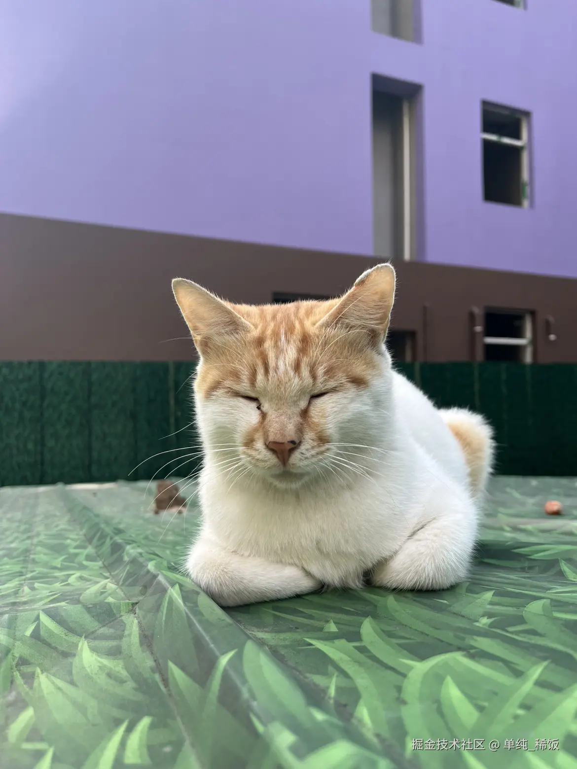 单纯_稀饭于2025-09-24 09:12发布的图片