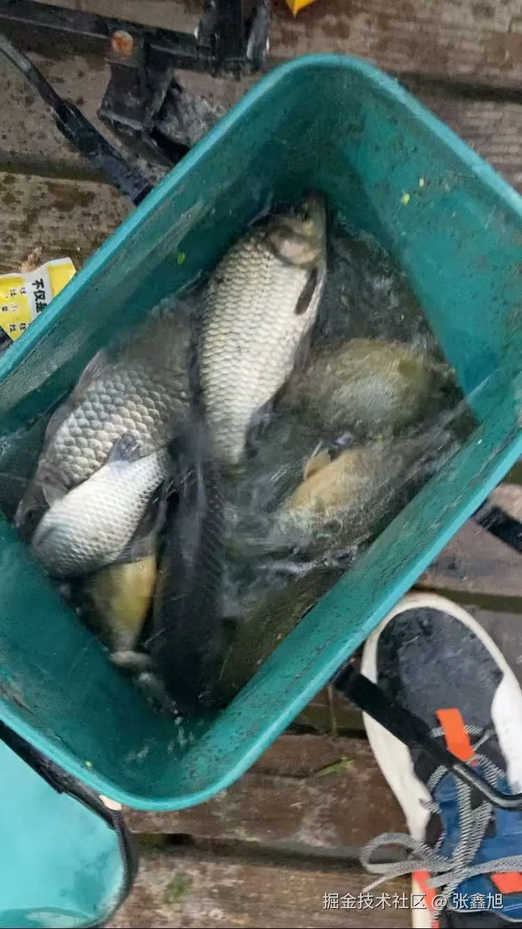 张鑫旭于2024-11-25 14:35发布的图片