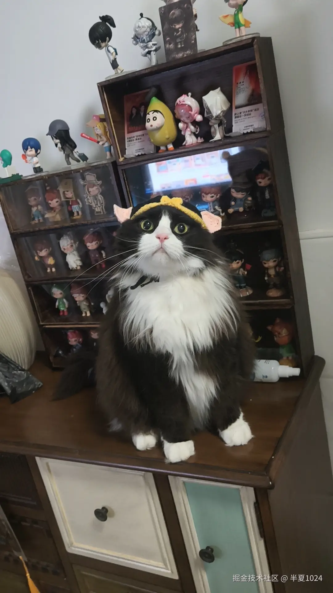 半夏1024于2025-06-25 11:23发布的图片