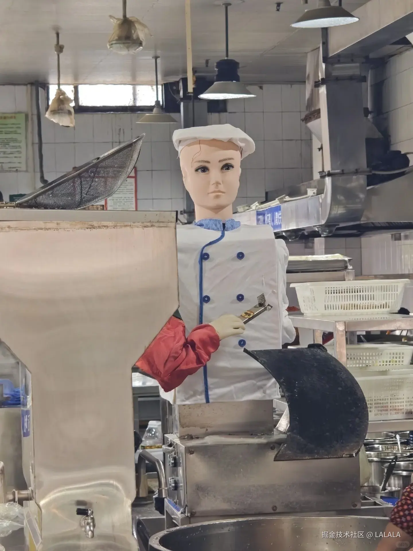 LALALA于2026-03-13 10:39发布的图片