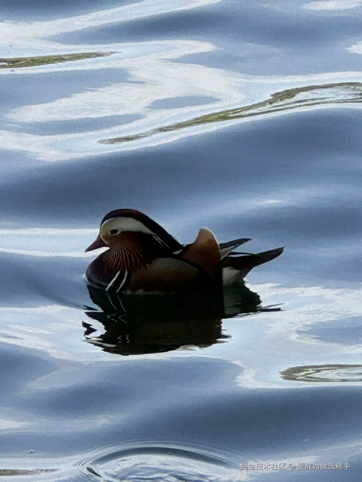 要成为做饭糕手于2025-04-07 11:34发布的图片