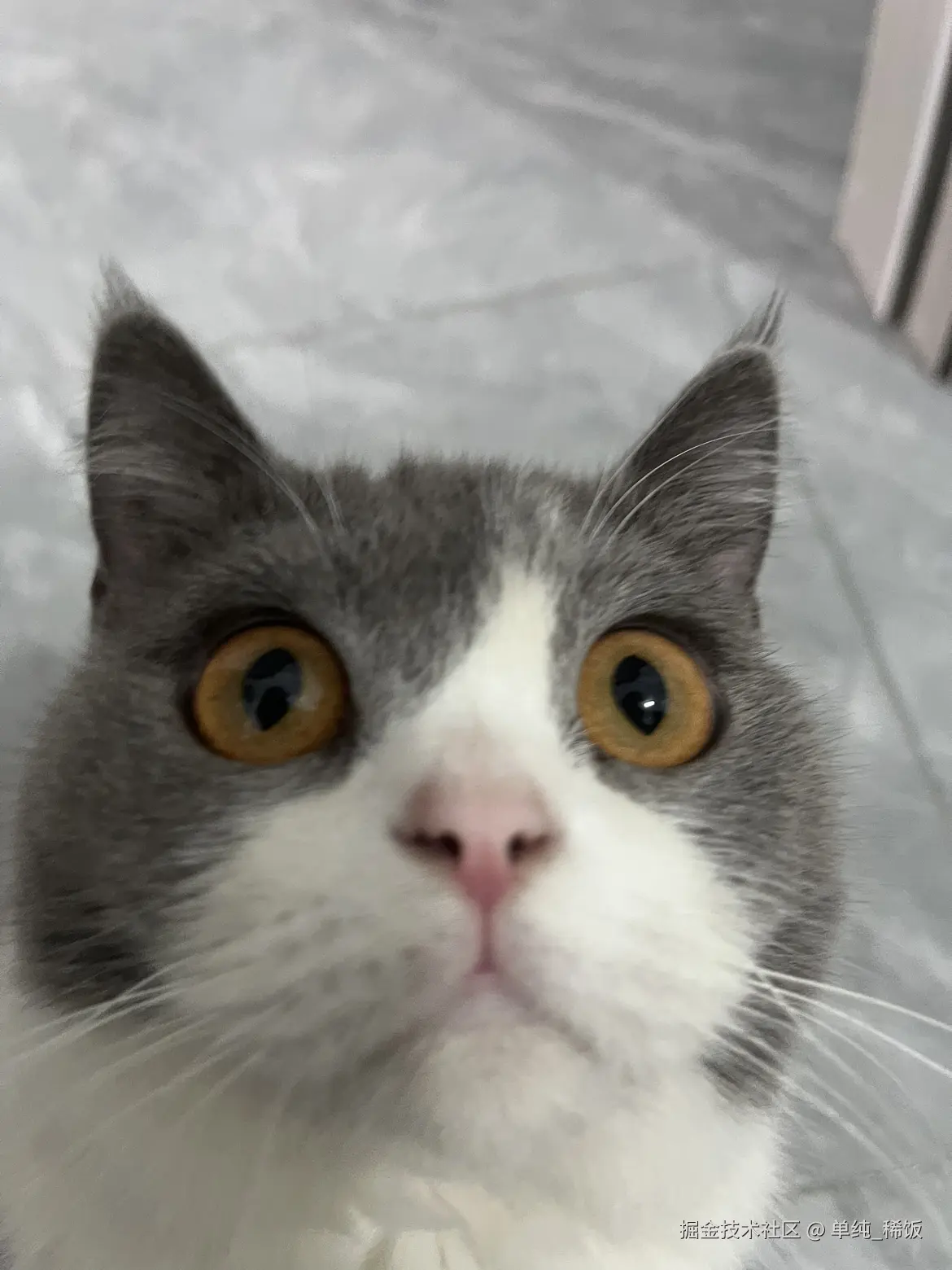 单纯_稀饭于2024-09-06 07:34发布的图片