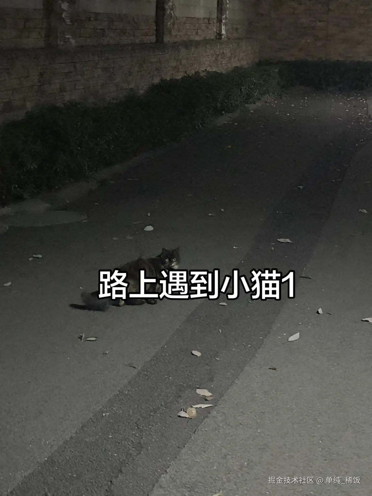 单纯_稀饭于2026-03-21 08:03发布的图片