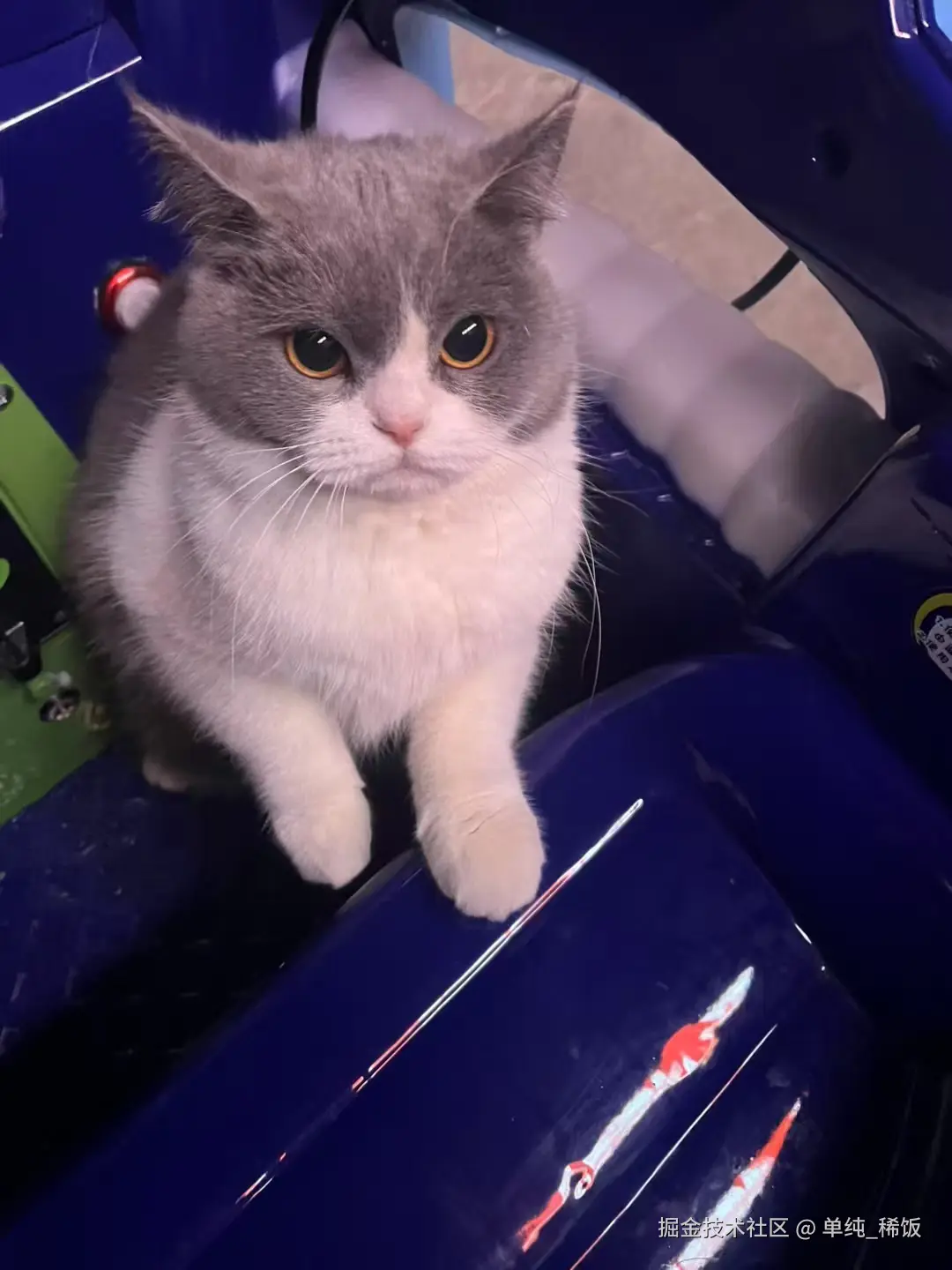 单纯_稀饭于2025-03-04 13:17发布的图片