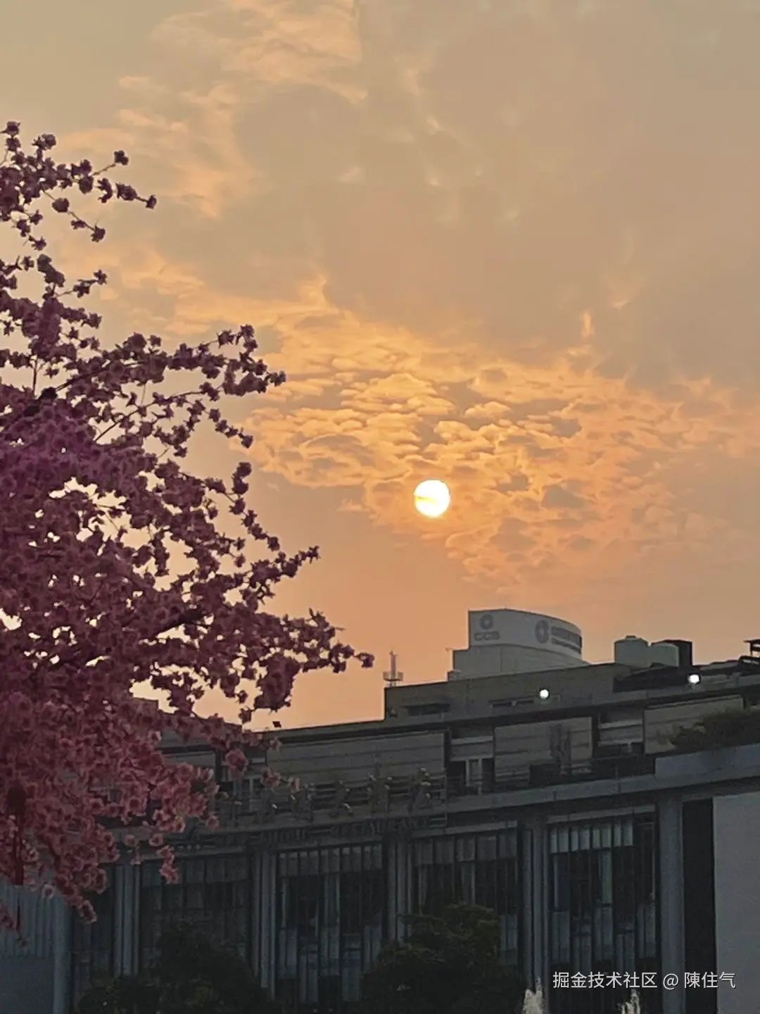 陳住气于2024-11-29 08:54发布的图片