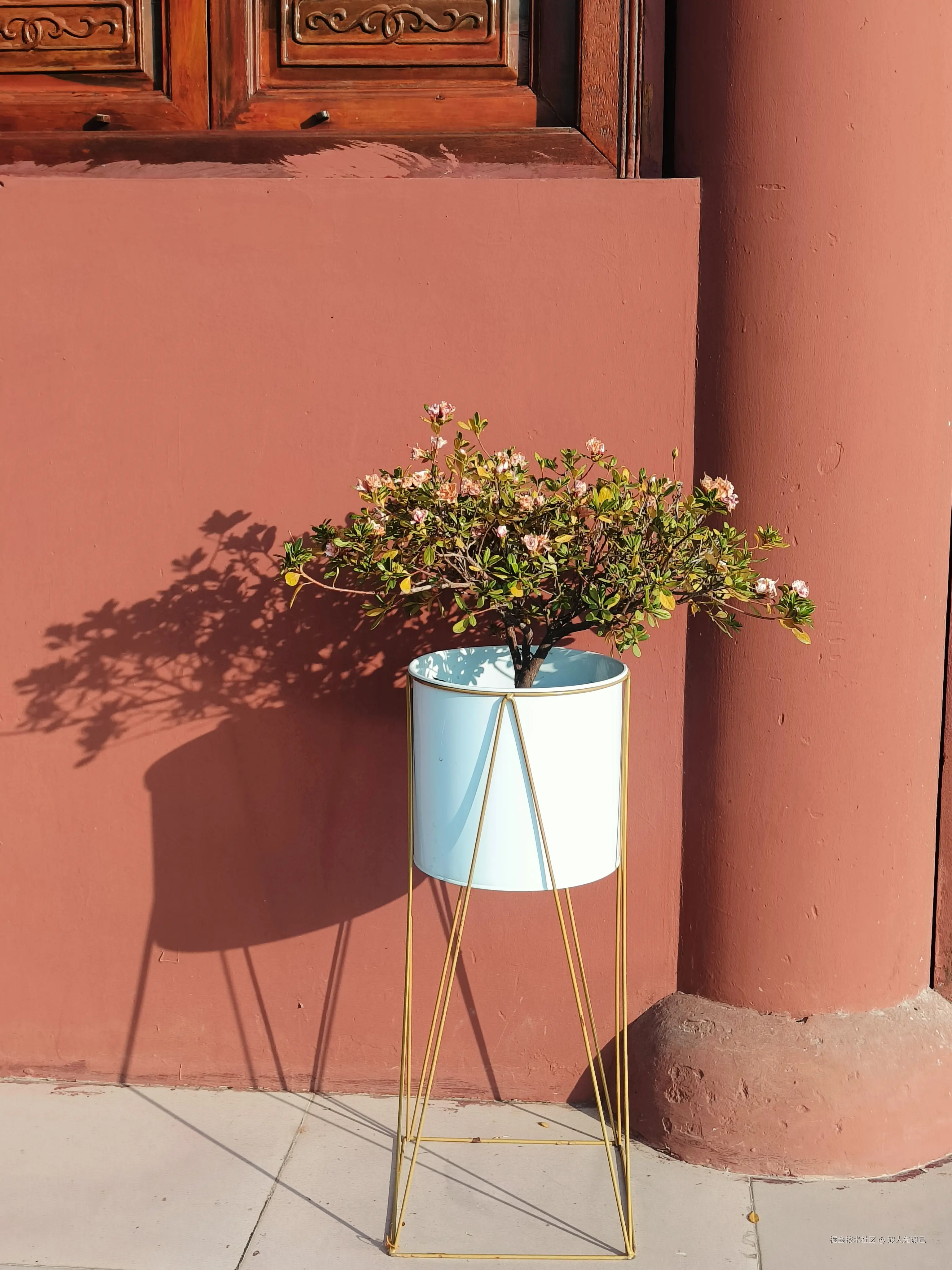 渡人先渡己于2025-01-14 11:40发布的图片