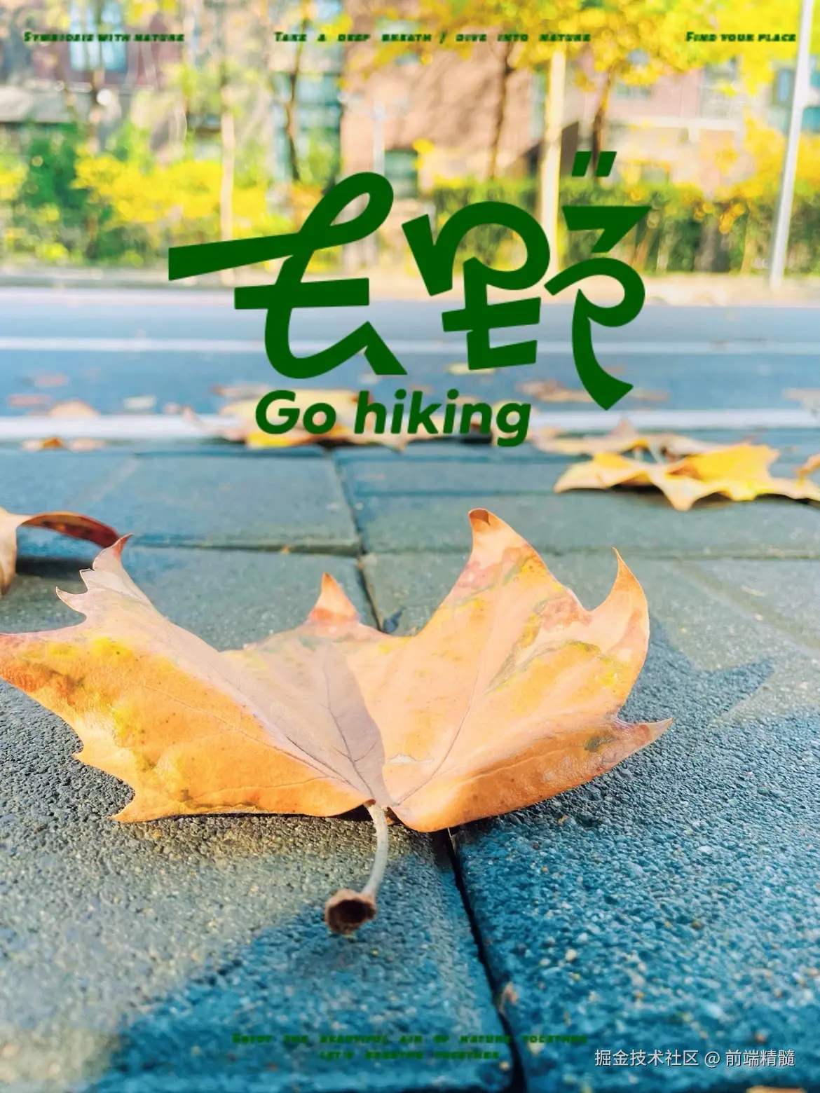 前端精髓于2024-11-15 12:22发布的图片