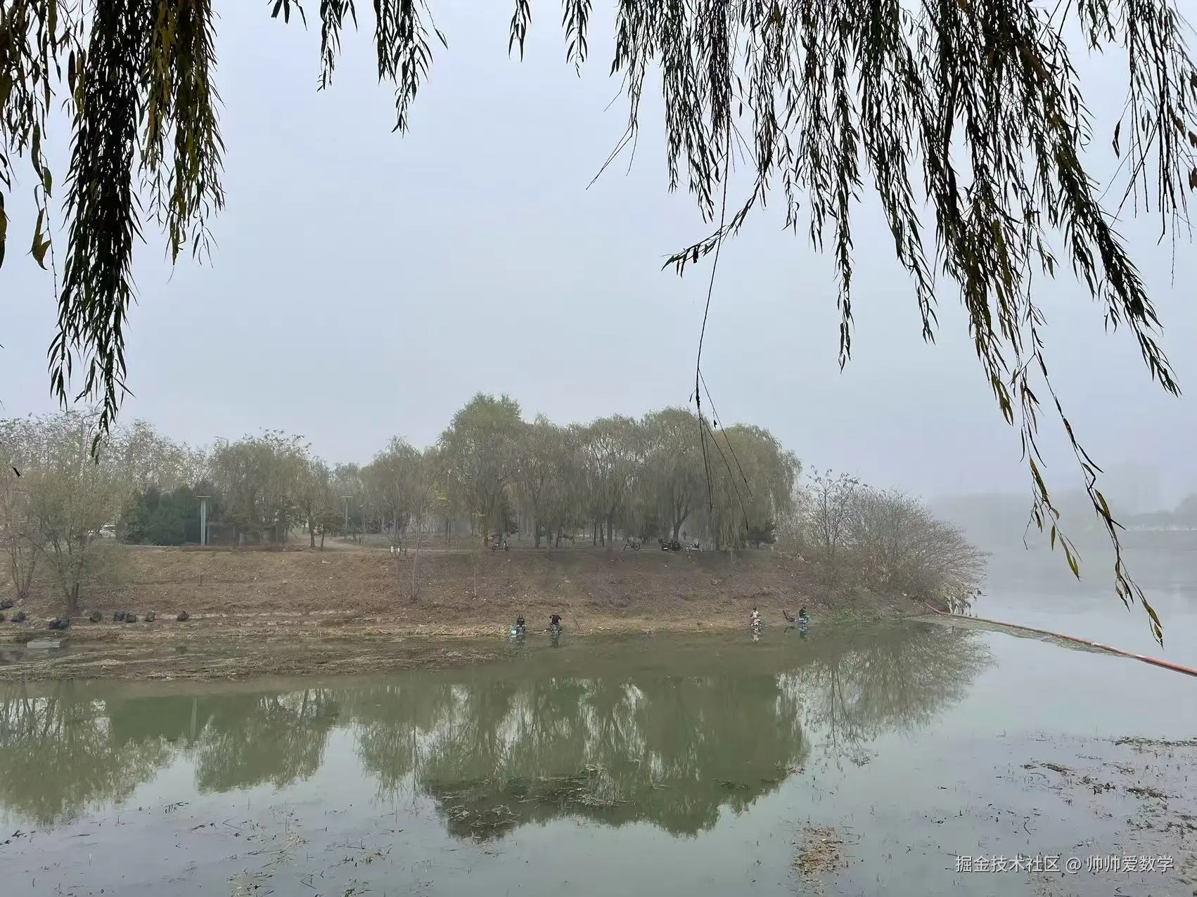 帅帅爱数学于2024-11-15 13:21发布的图片