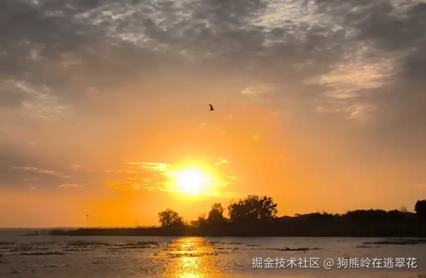 狗熊岭在逃翠花于2025-04-07 13:34发布的图片