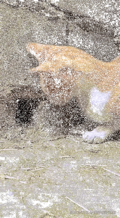 困的时候不睡觉于2026-03-23 09:11发布的图片