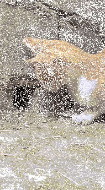 困的时候不睡觉于2026-03-23 09:11发布的图片