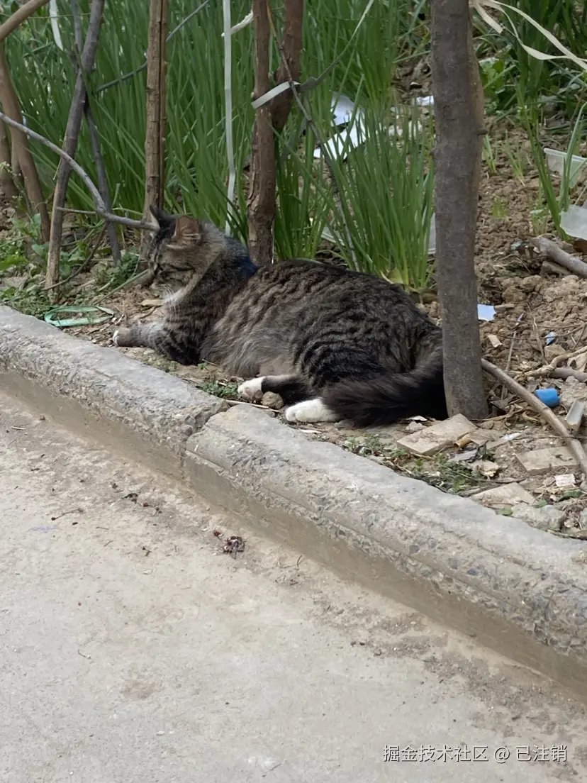 已注销于2025-04-06 11:58发布的图片