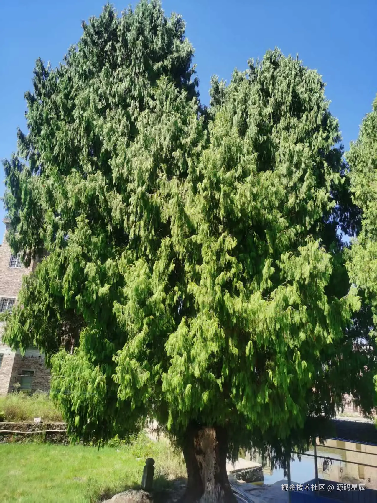 源码星辰于2025-09-17 14:26发布的图片