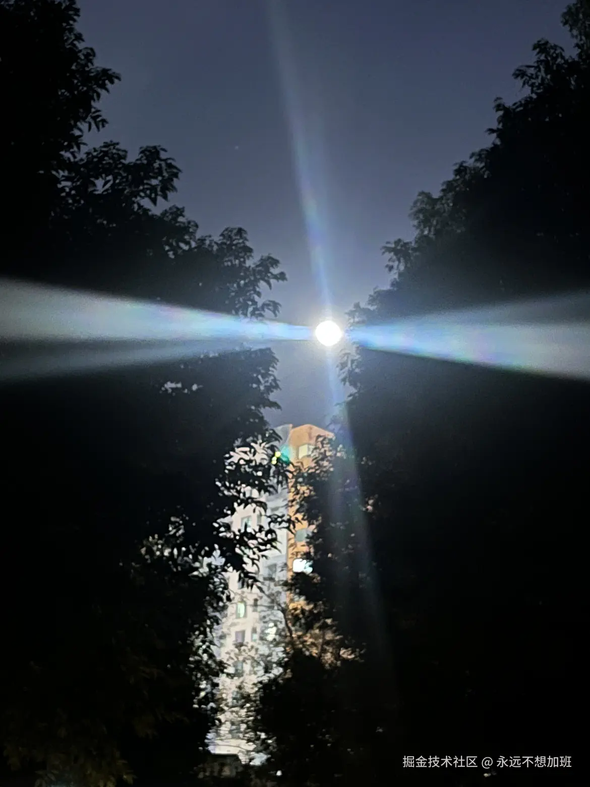 永远不想加班于2025-12-08 13:28发布的图片