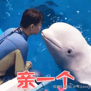 带土ovo于2025-04-11 01:57发布的图片