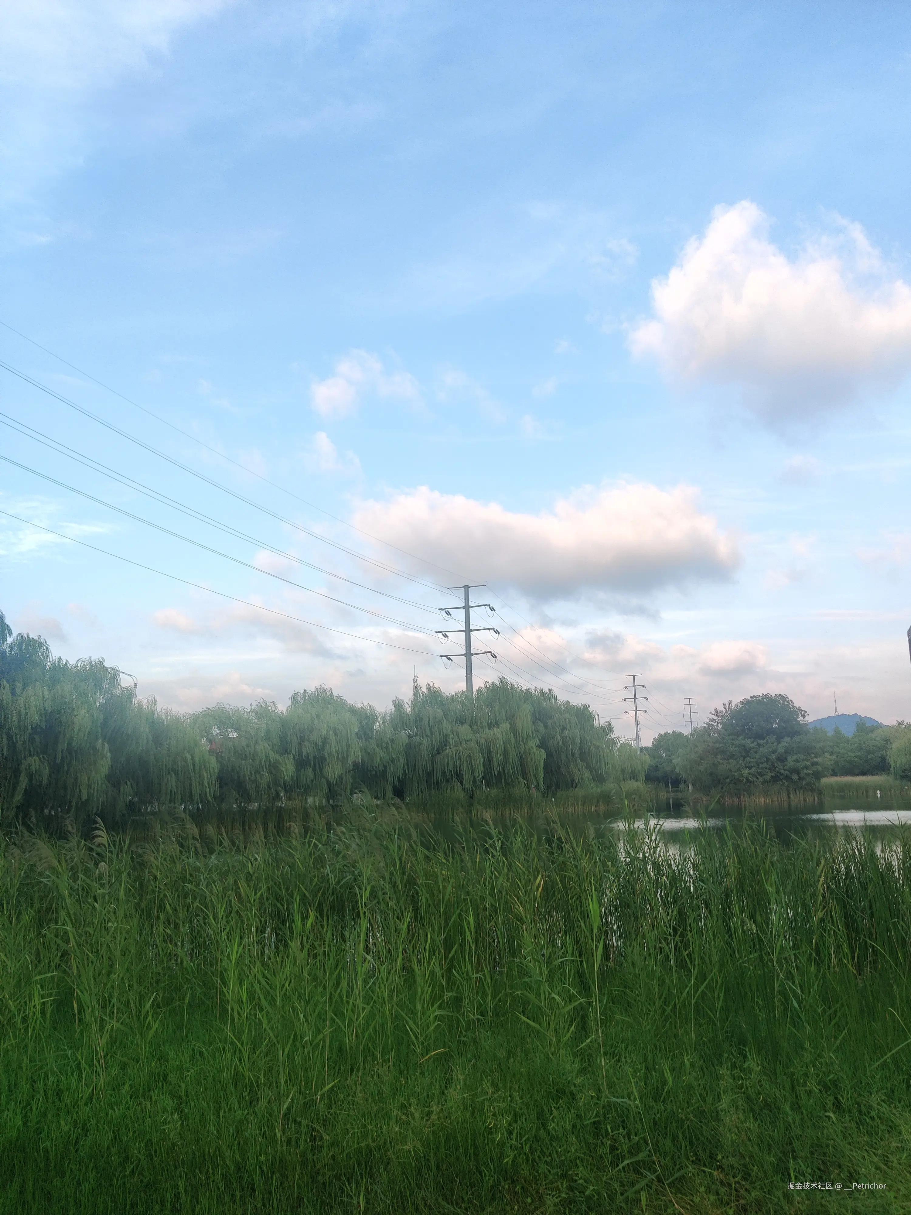 __Petrichor于2024-09-19 17:41发布的图片