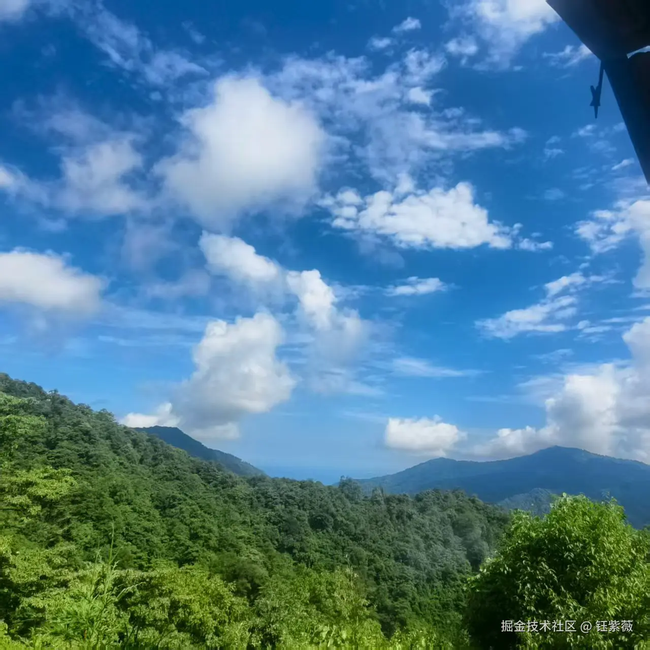 钰紫薇于2025-07-28 09:17发布的图片