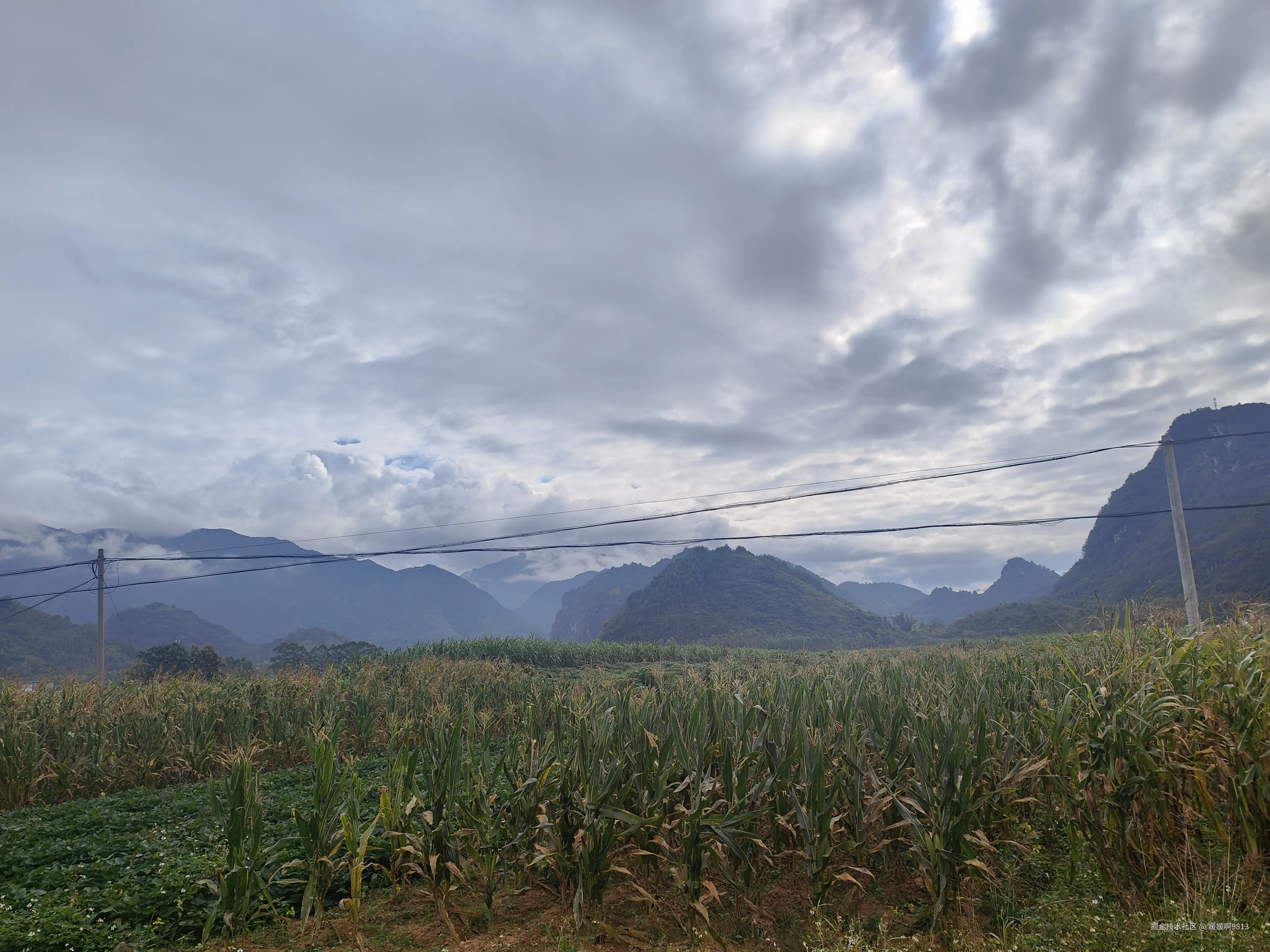 媛媛啊9813于2025-11-08 22:51发布的图片