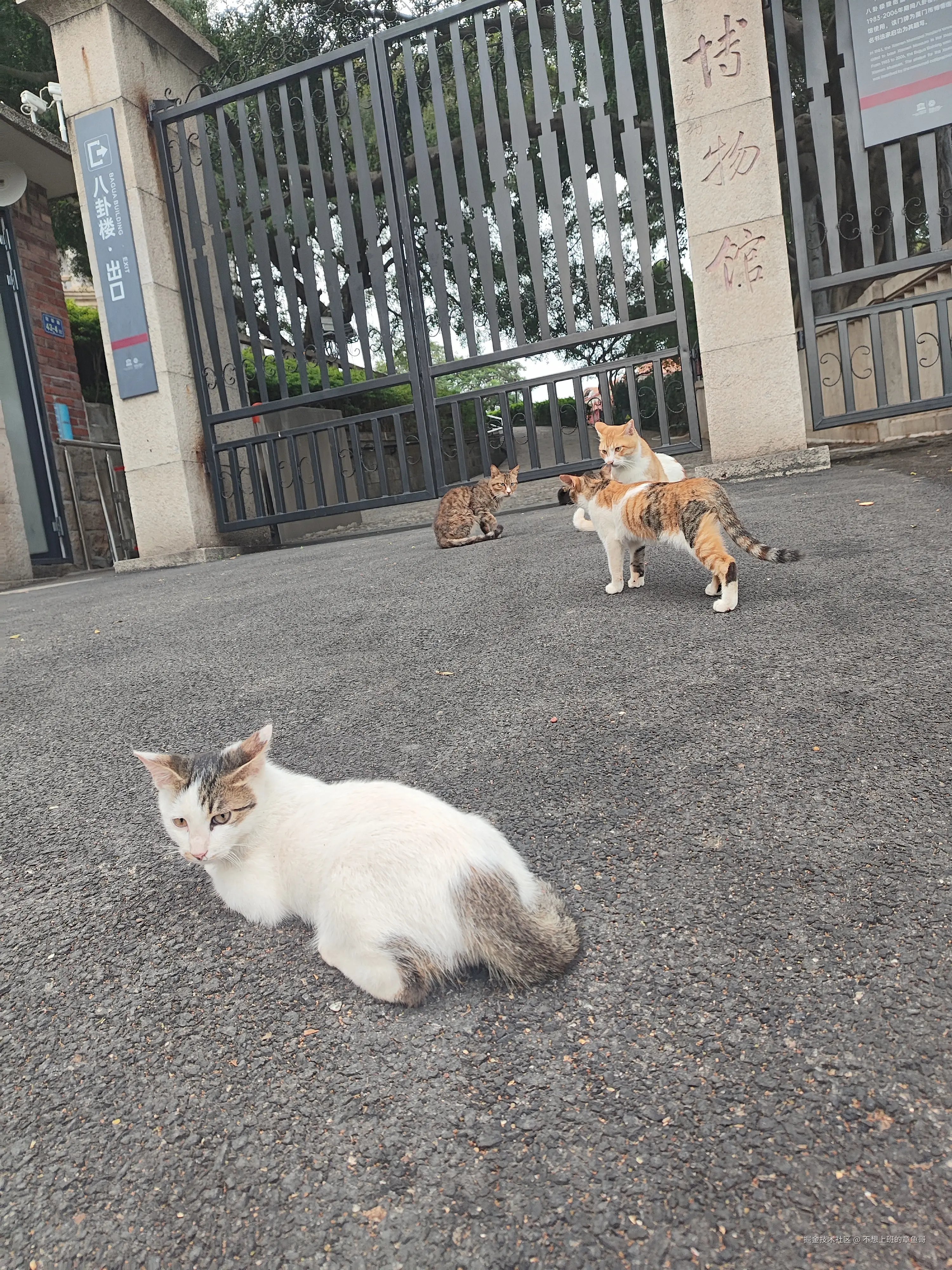 不想上班的章鱼哥于2025-04-21 09:15发布的图片