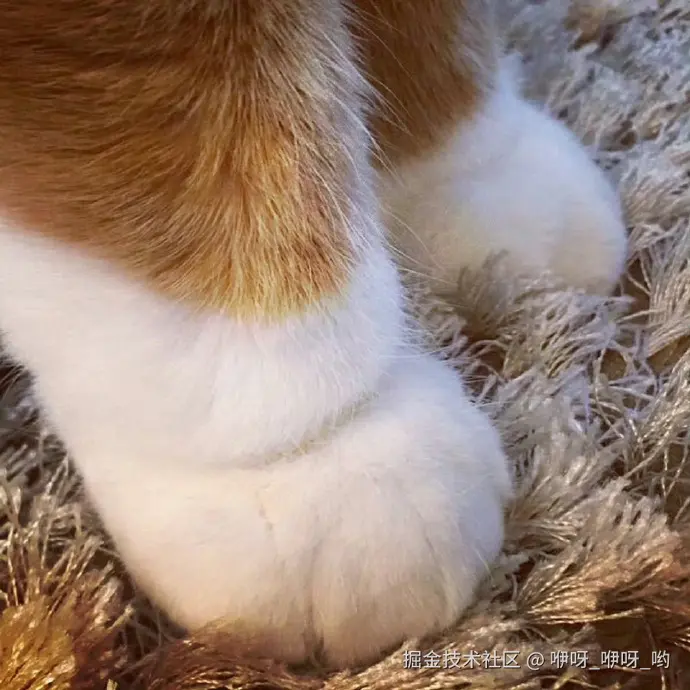 咿呀_咿呀_哟于2025-01-03 16:33发布的图片