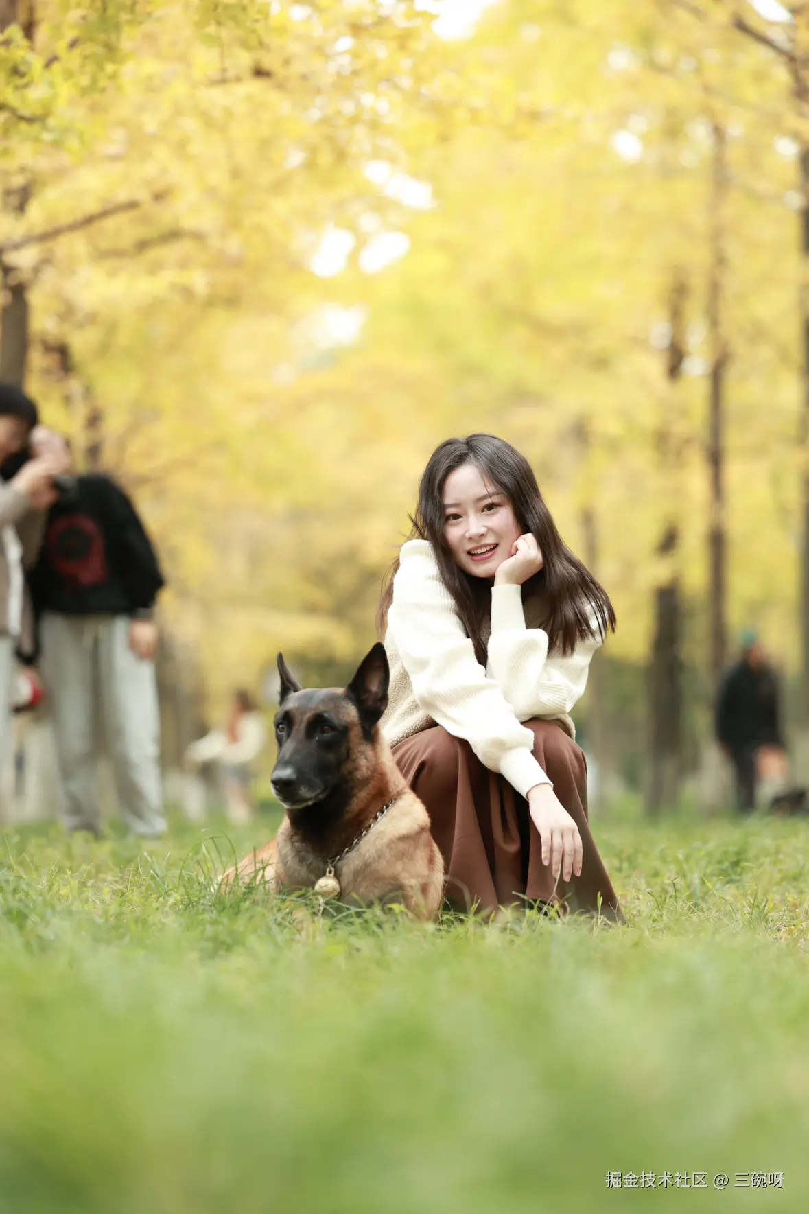 三碗呀于2024-11-25 03:11发布的图片