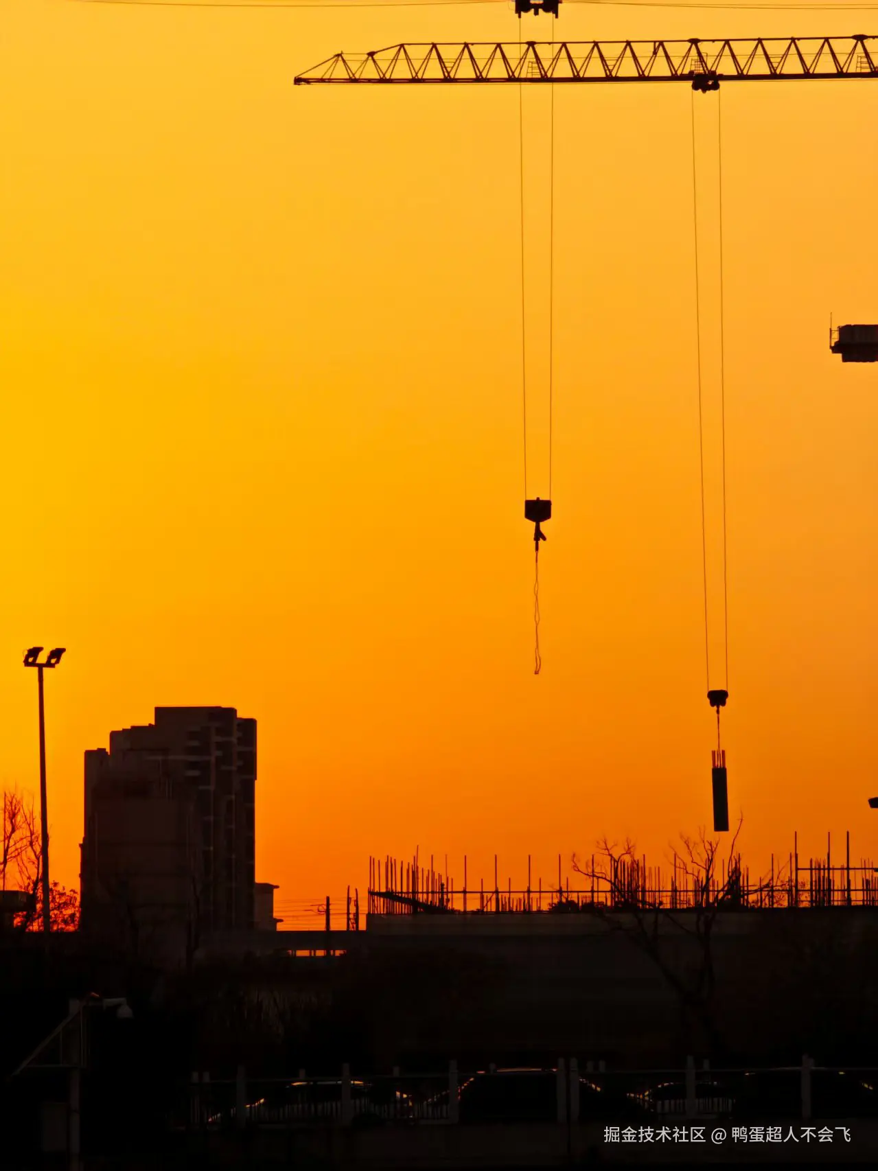 鸭蛋超人不会飞于2025-12-18 17:24发布的图片