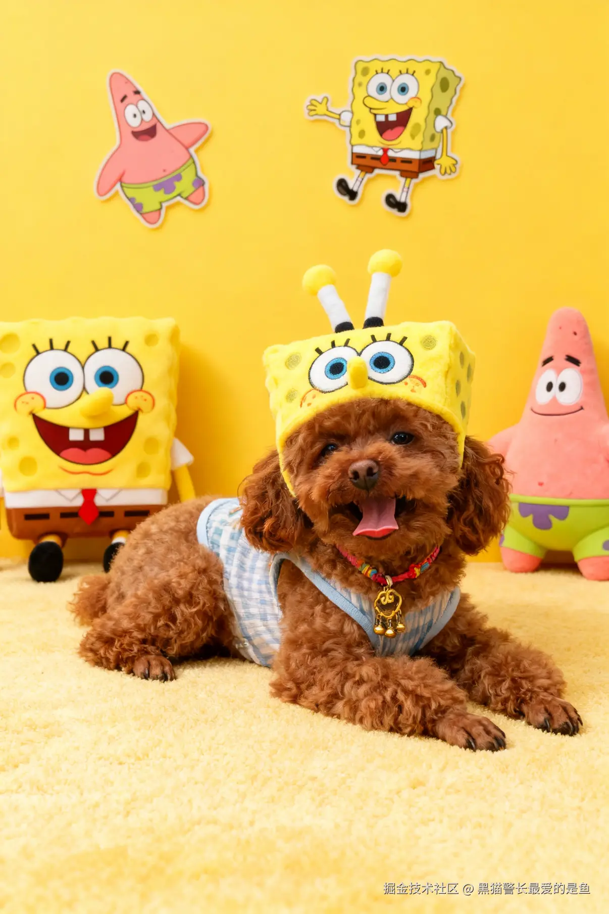 黑猫警长最爱的是鱼于2025-09-26 10:16发布的图片