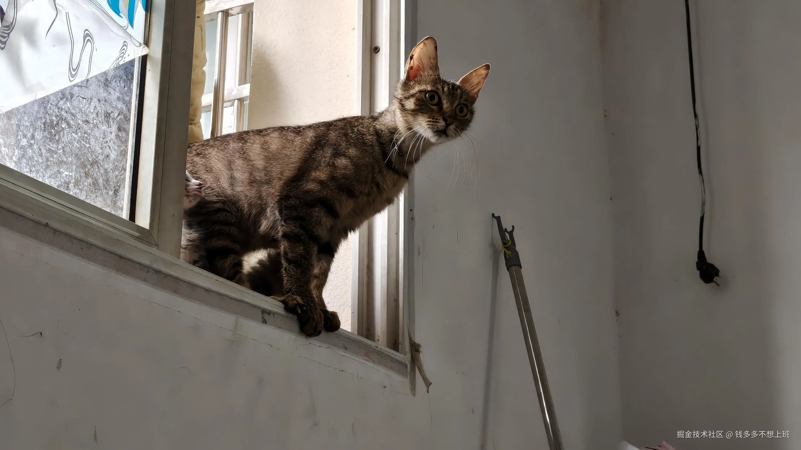 钱多多不想上班于2025-05-26 09:33发布的图片