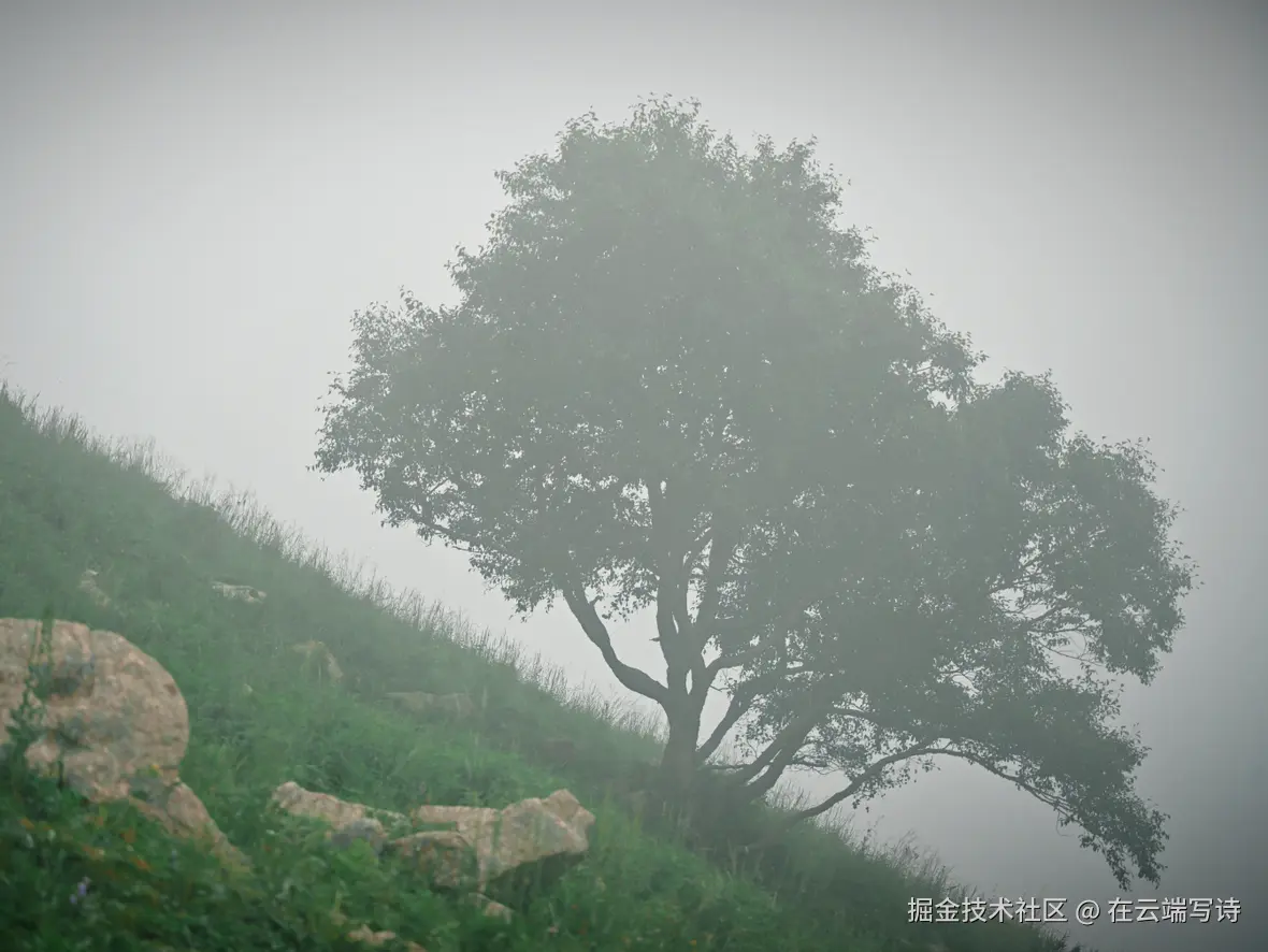 在云端写诗于2025-08-04 10:49发布的图片